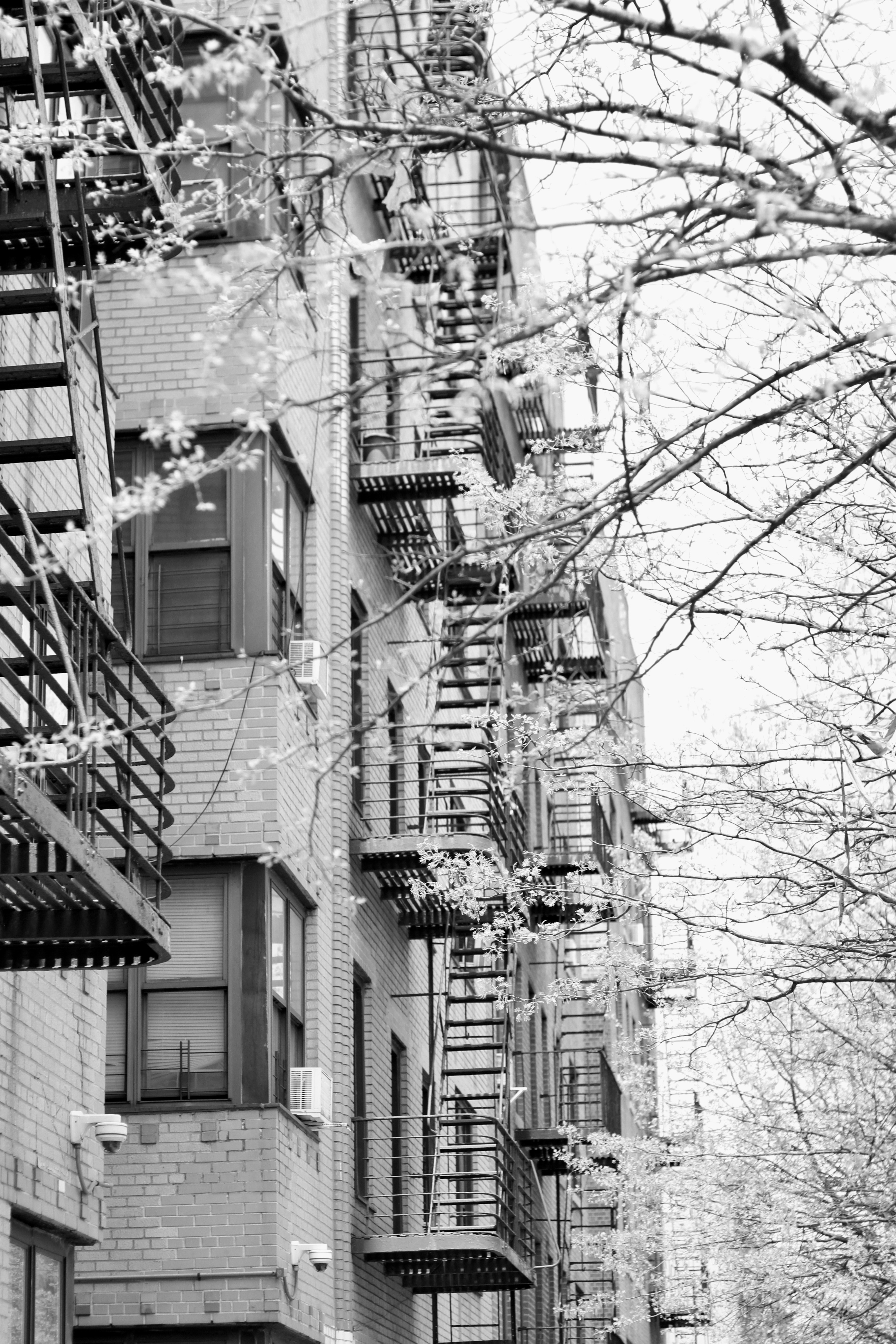 Photo by isaiah08