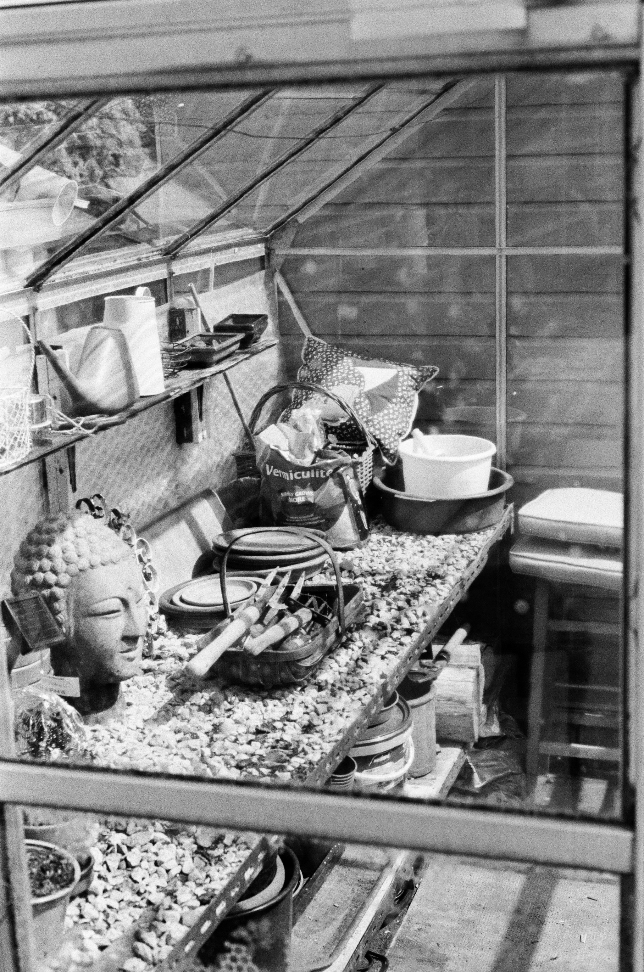 Kepala Buddha dan alat berkebun di rumah kaca