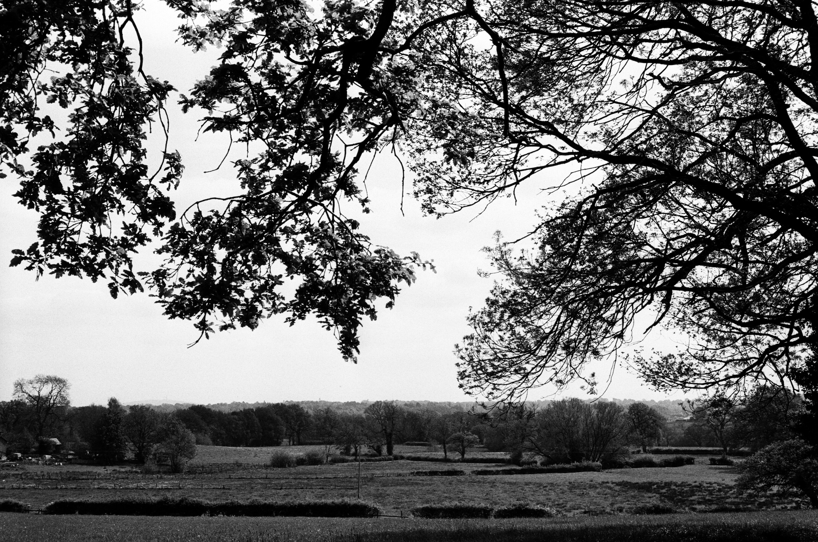 Photo by bruceb_uk