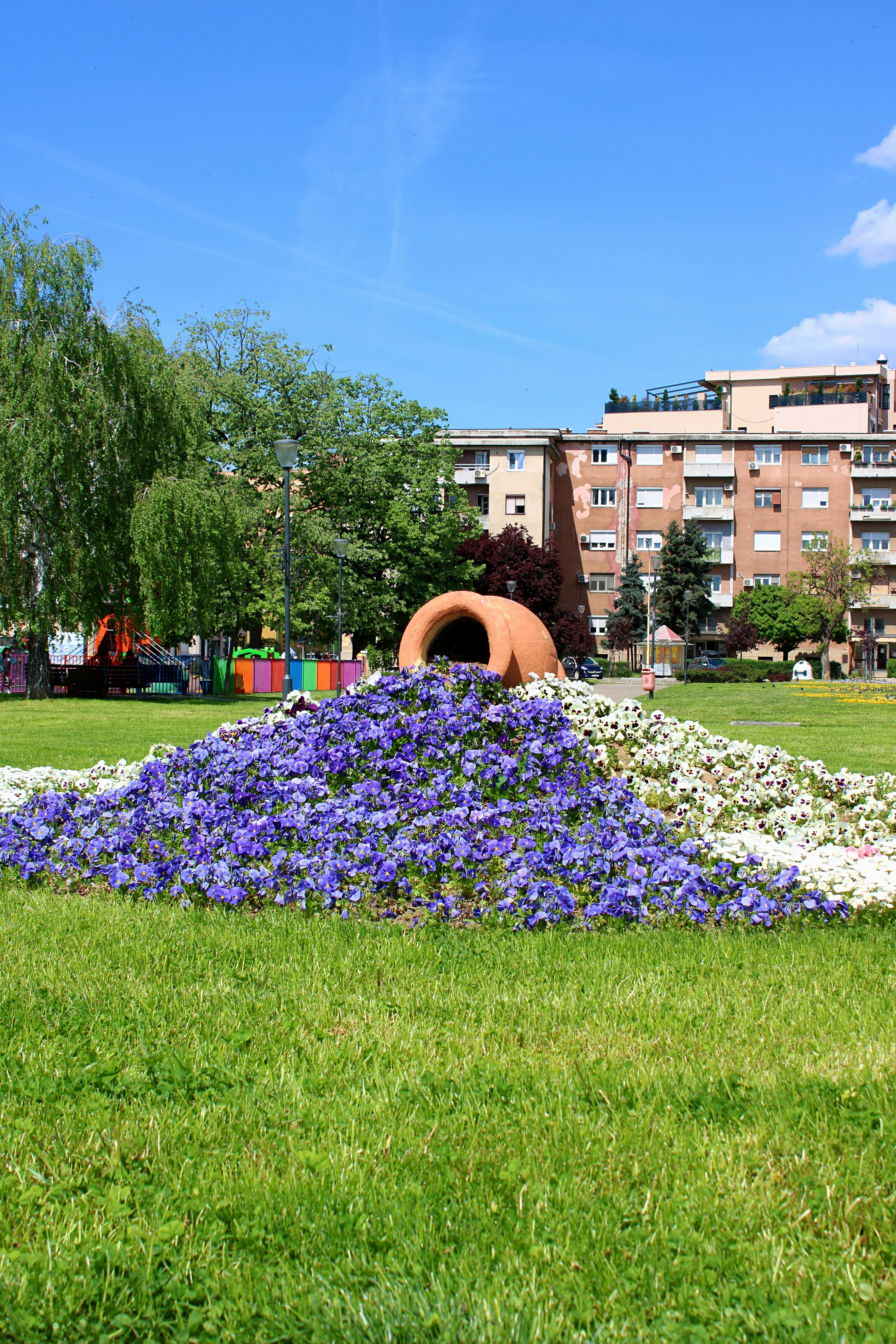 A large flower bed with purple and white flowers.