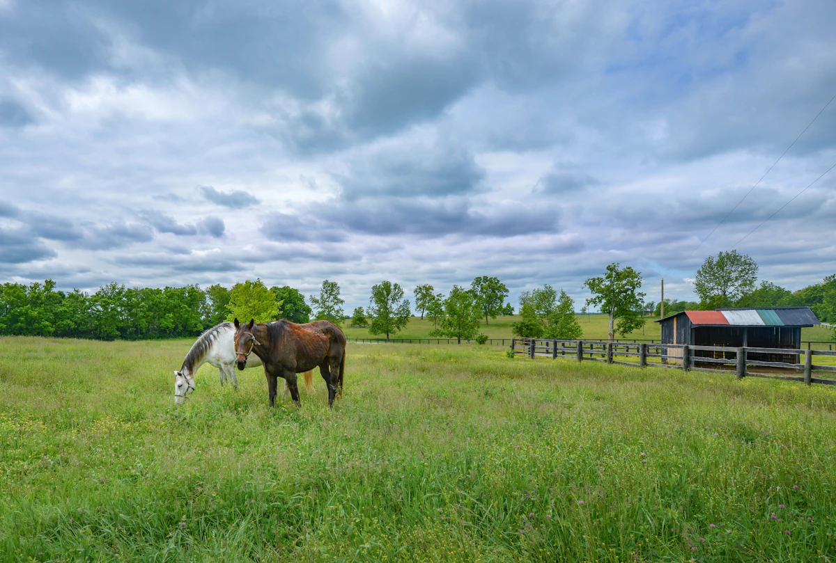 Keeneland / Old Frankfort Pike