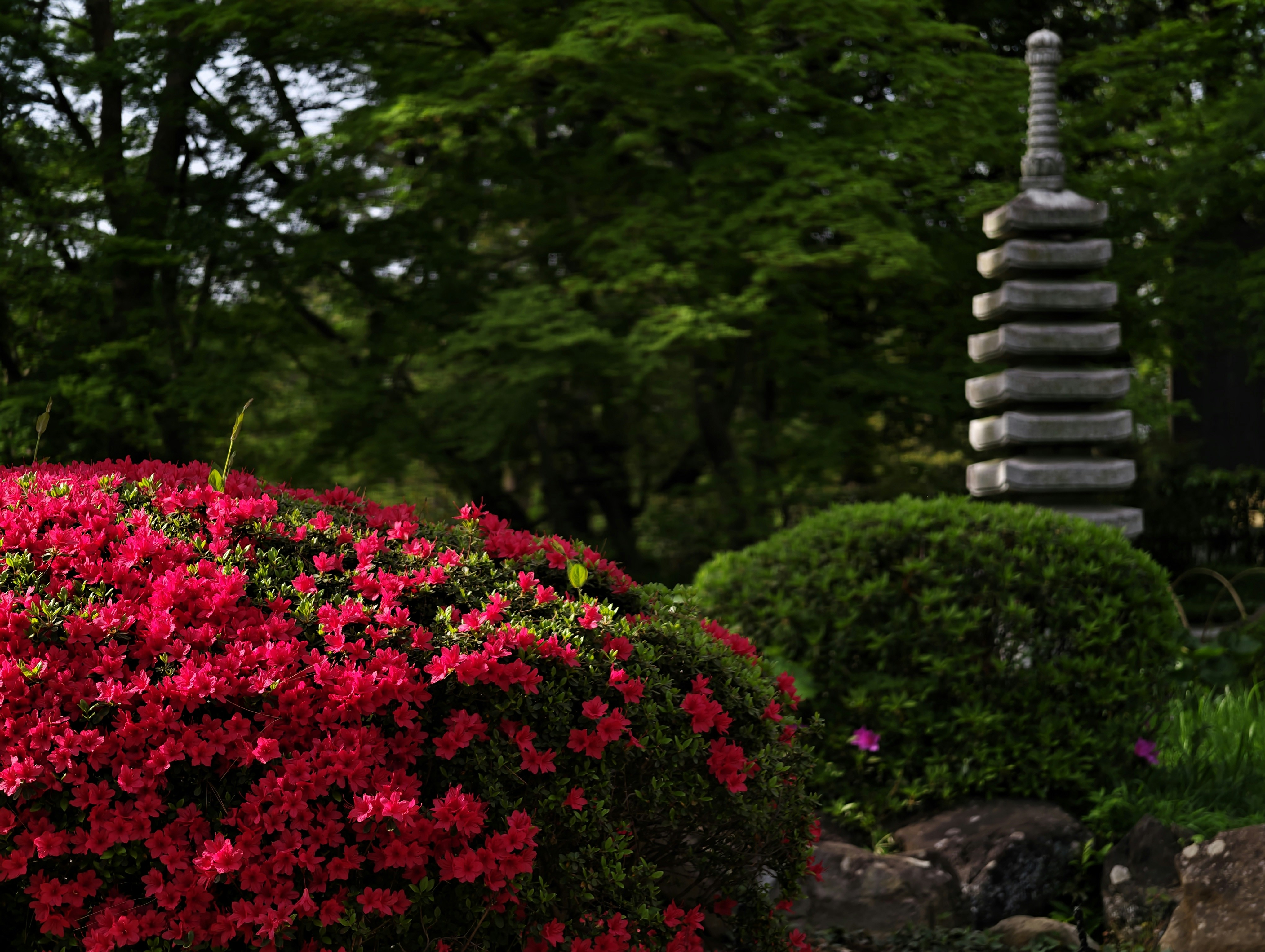 Kinchakuda Manjushage Park (seasonal)