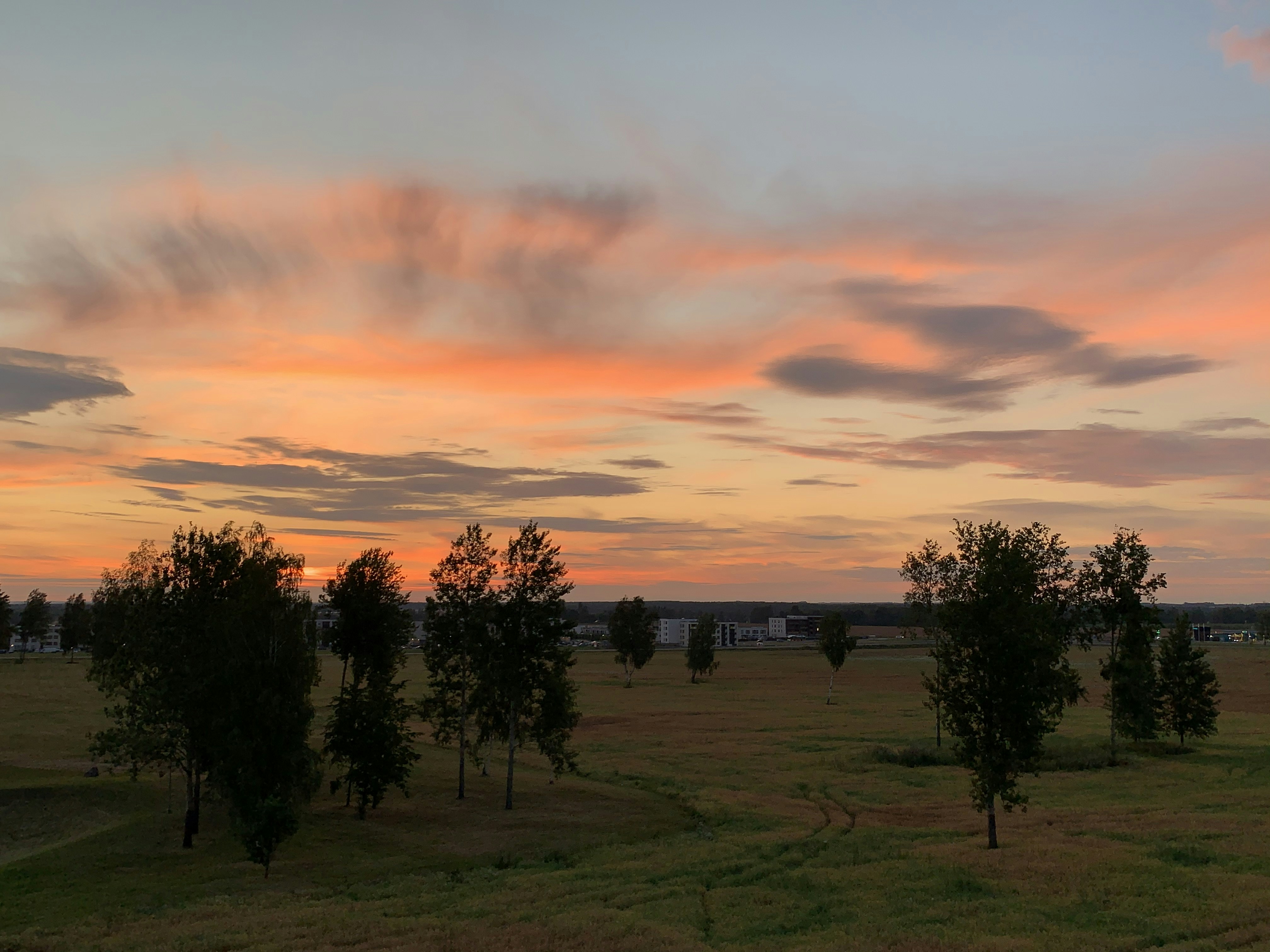 Colourful sunset sky over a field with trees
