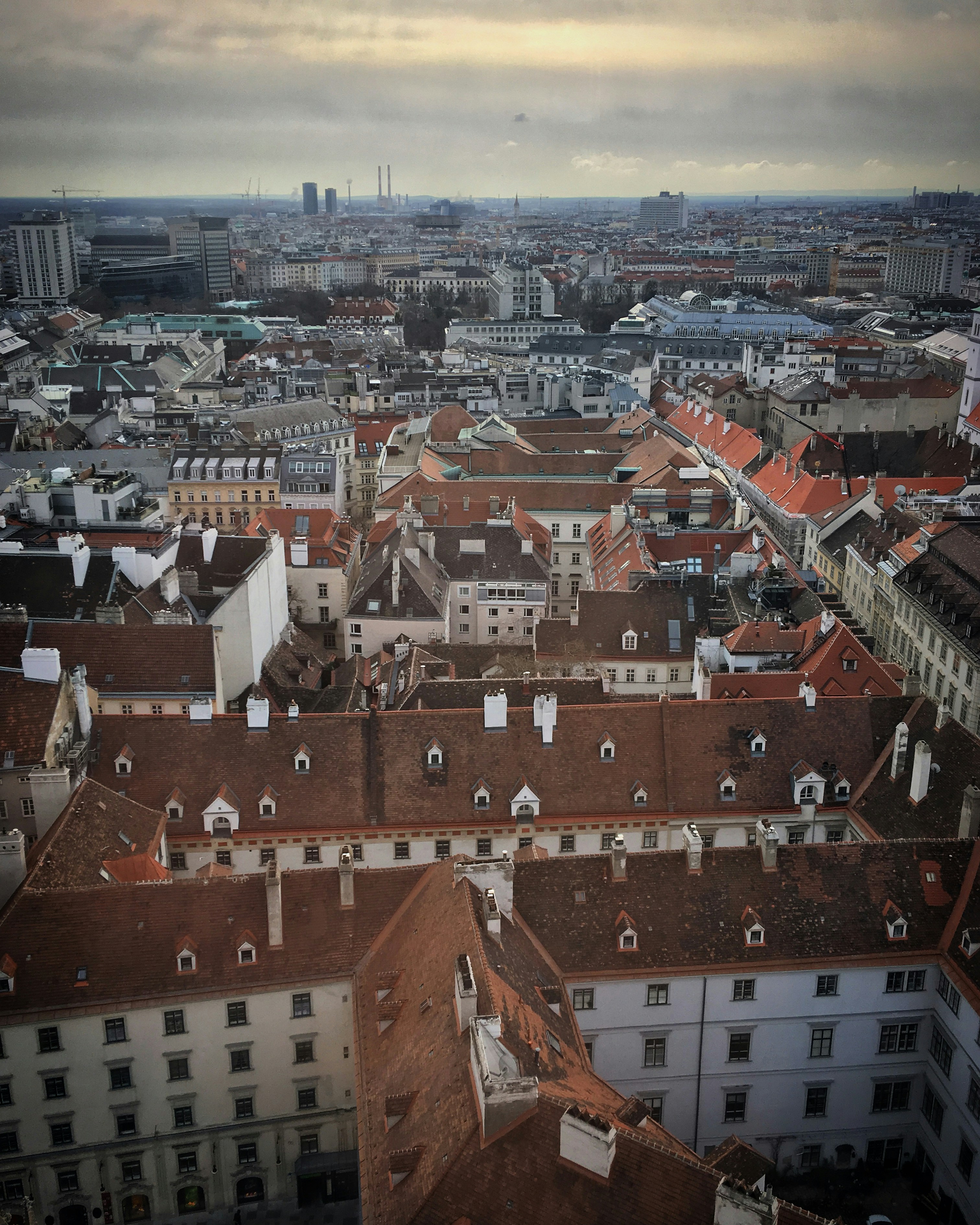 Photo by sergei_gussev