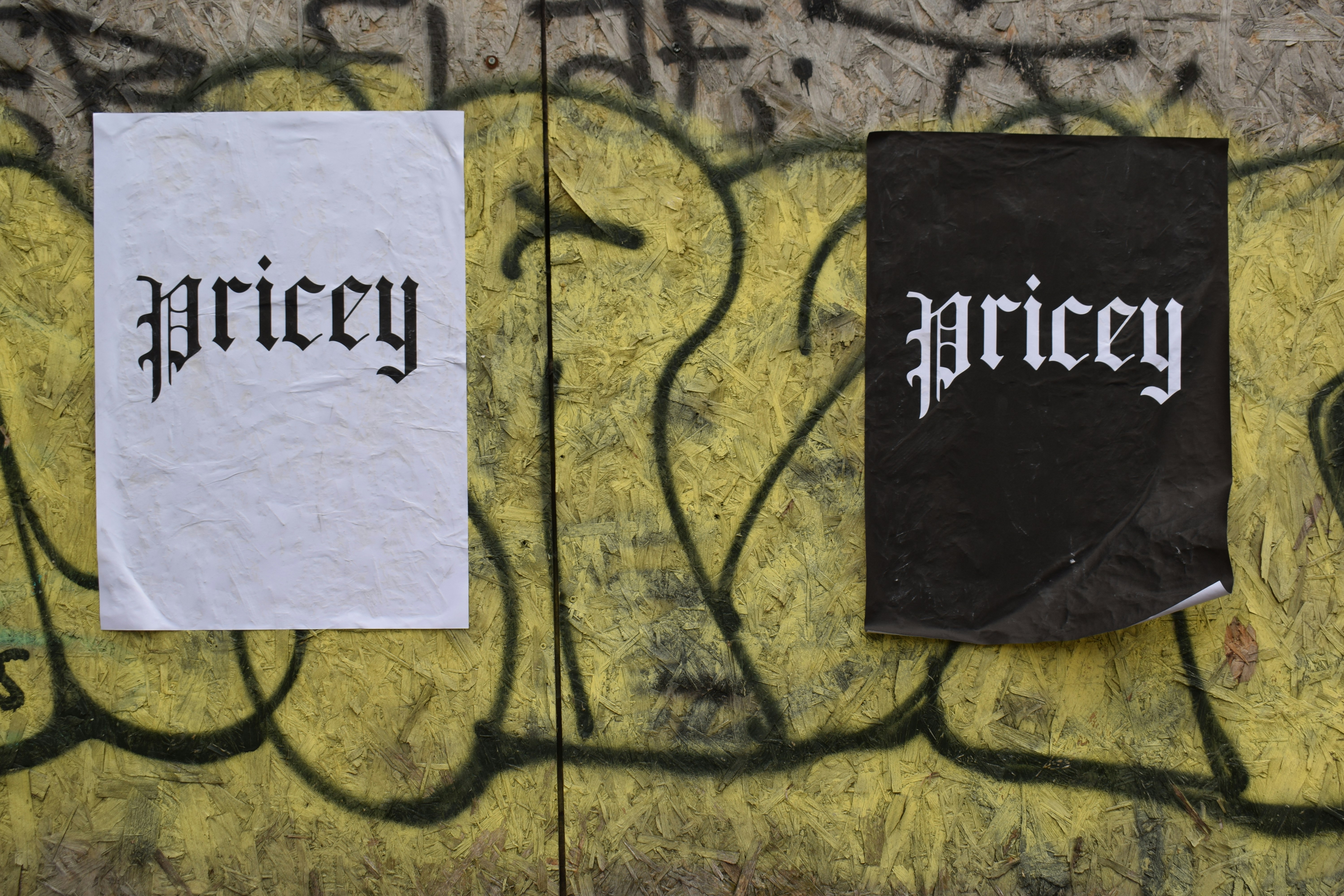 Two posters with the word "pricey" on a graffiti wall.