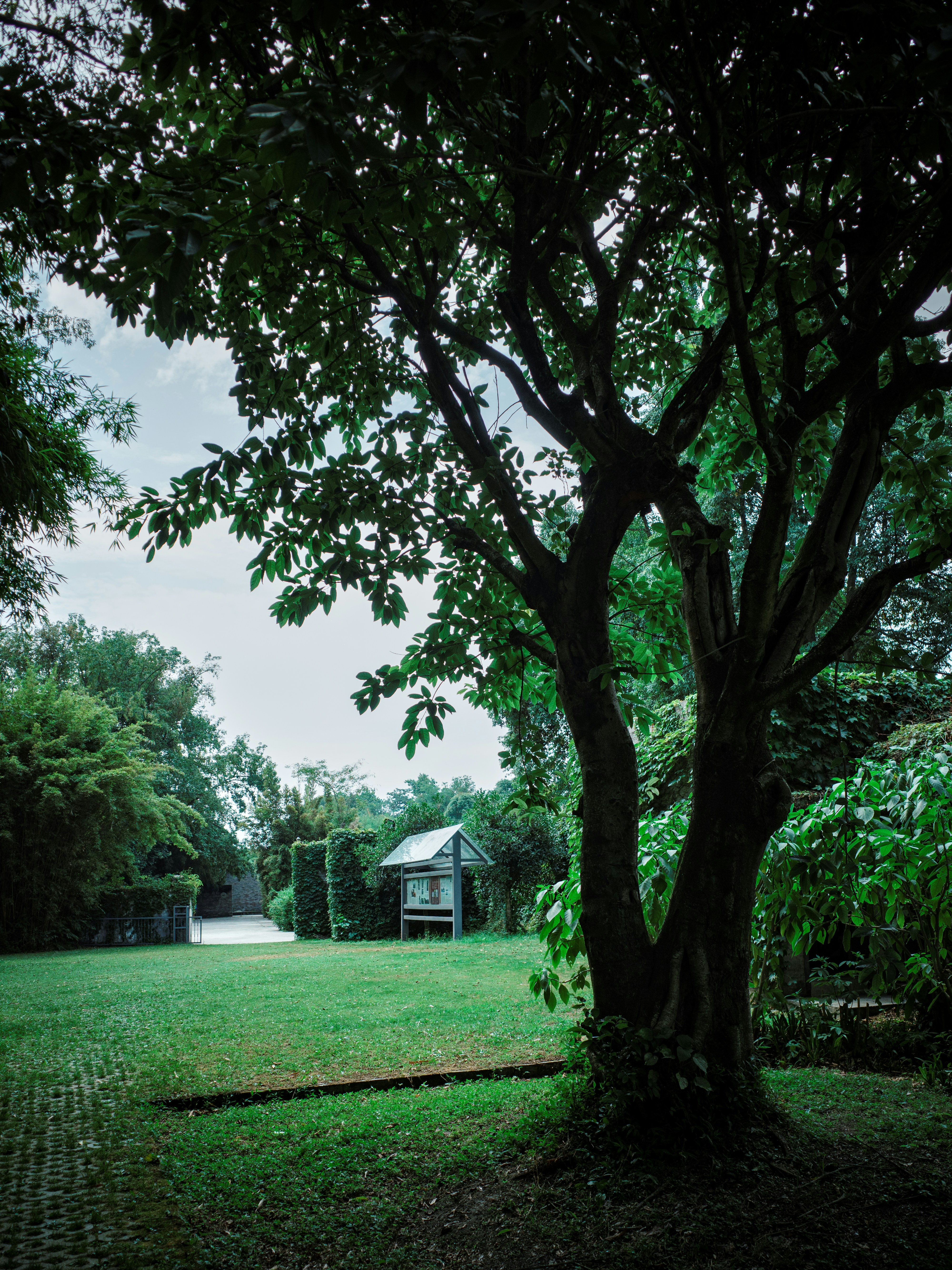 Photo by leongsan