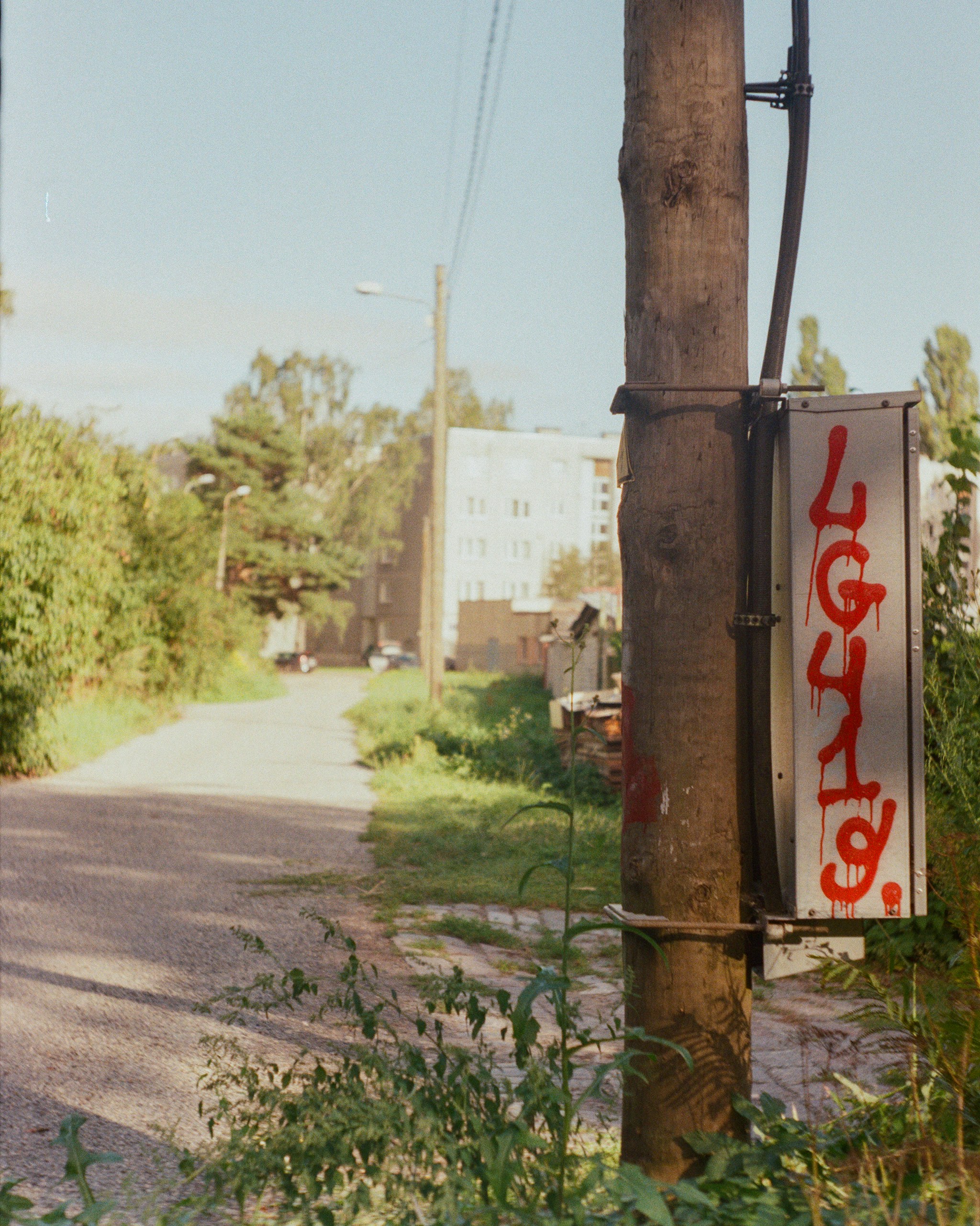 Graffiti on a utility pole beside a road.