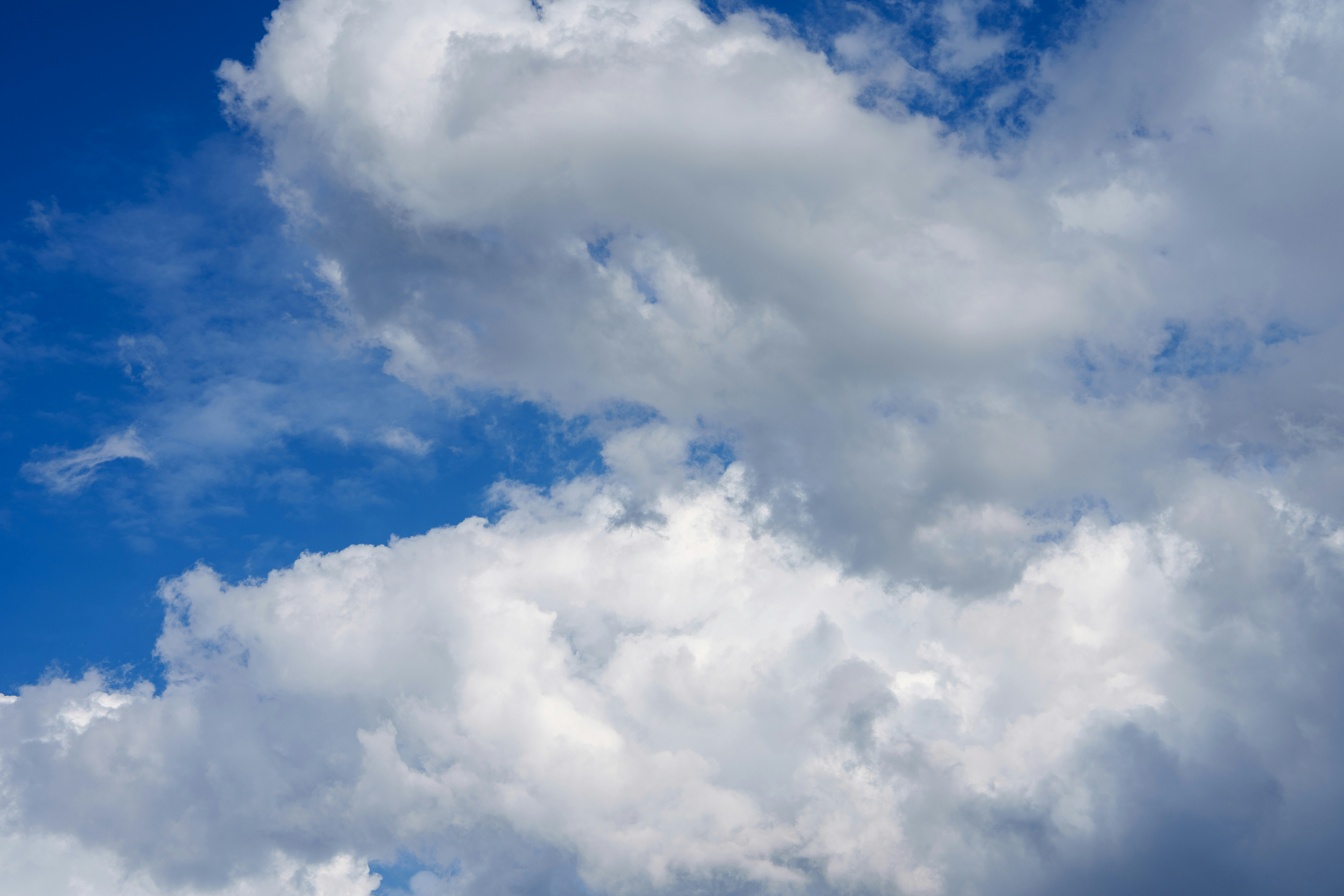 Photo by ftodne