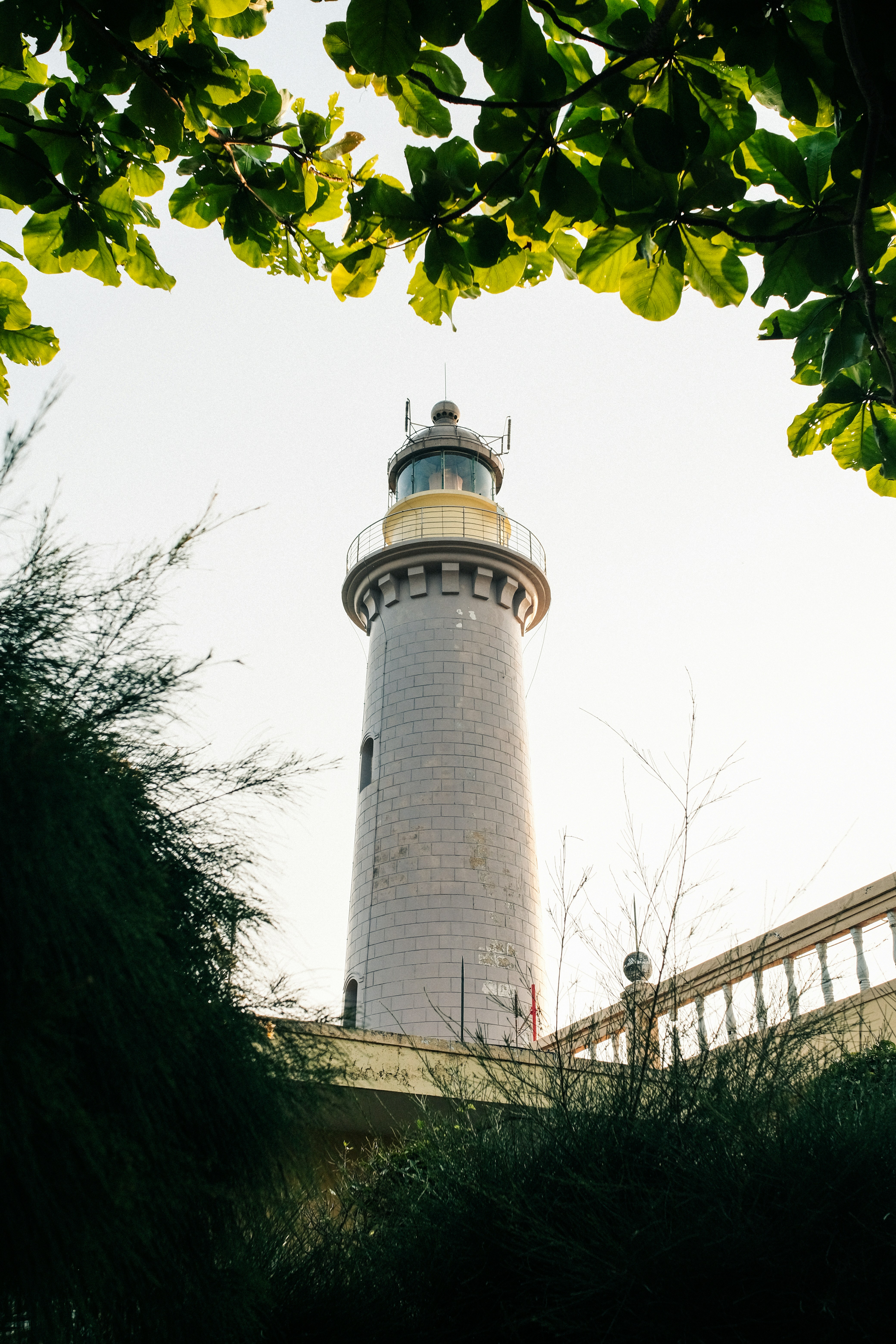 Um farol alto emoldurado por folhas e galhos verdes.