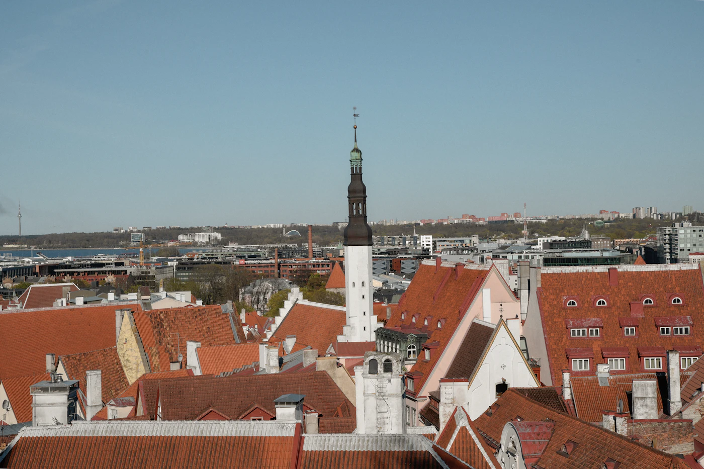 Die mittelalterliche Altstadt von Tallinn von oben
