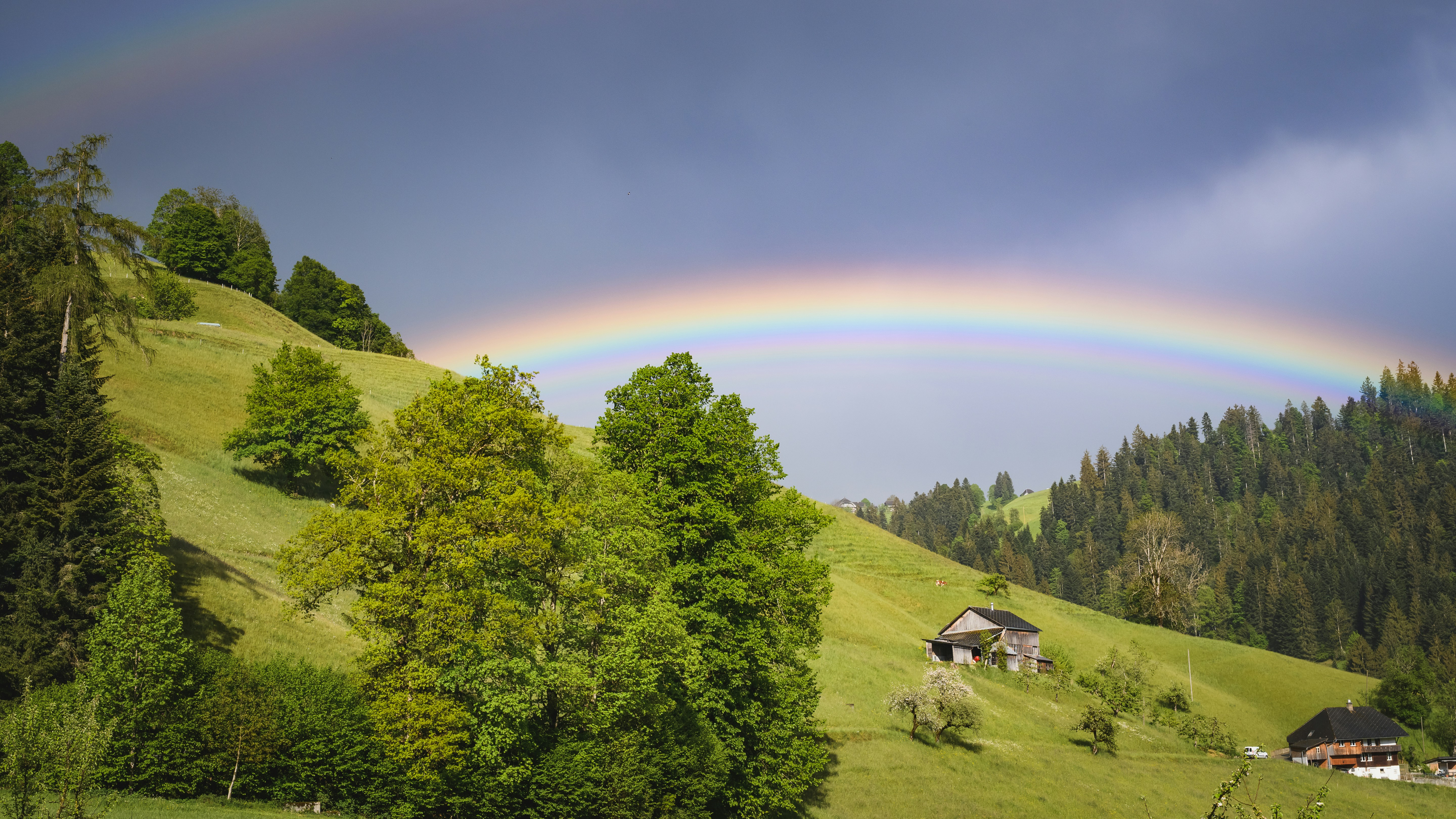 Photo by hnoefclbri