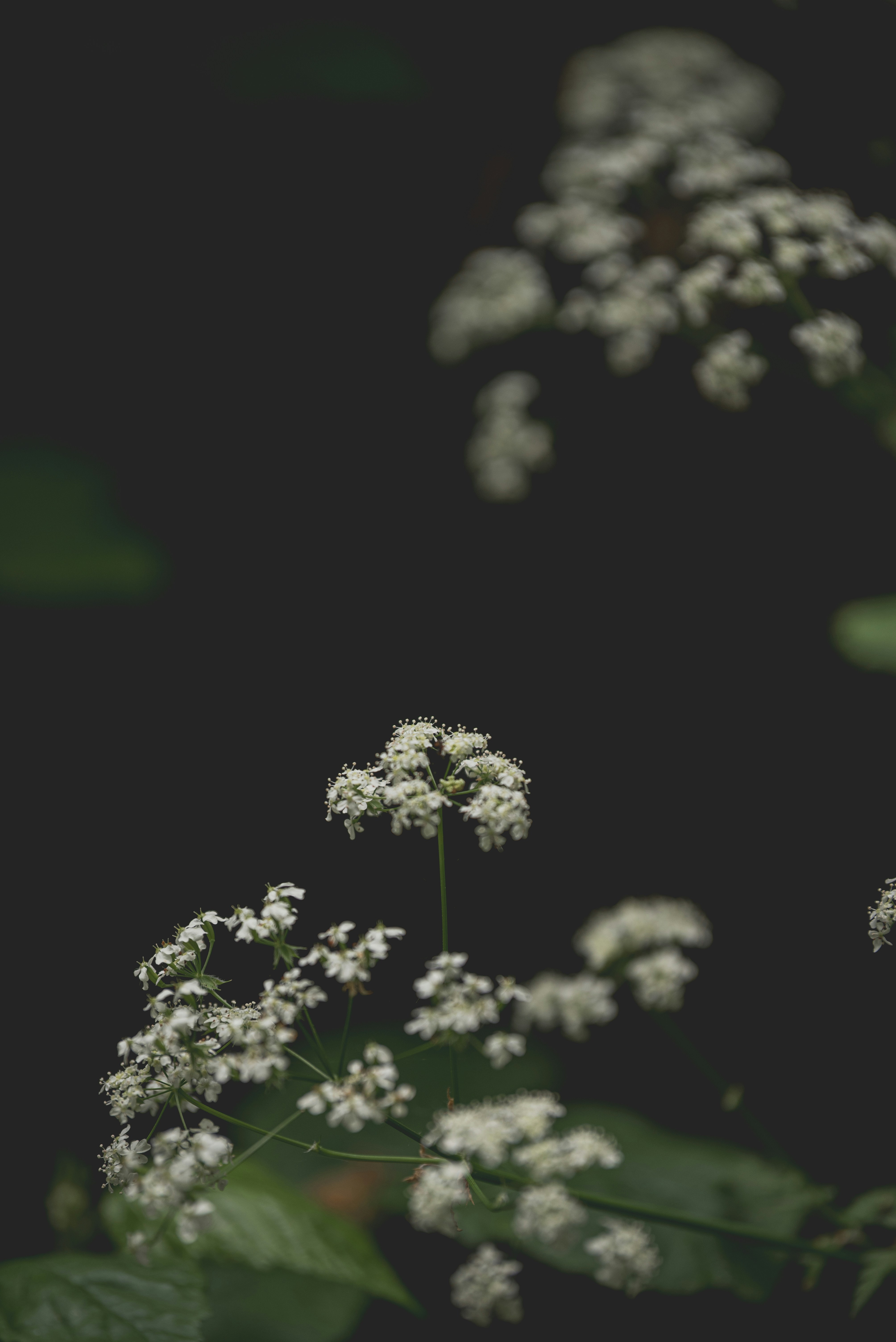 Photo by ellyendeavours