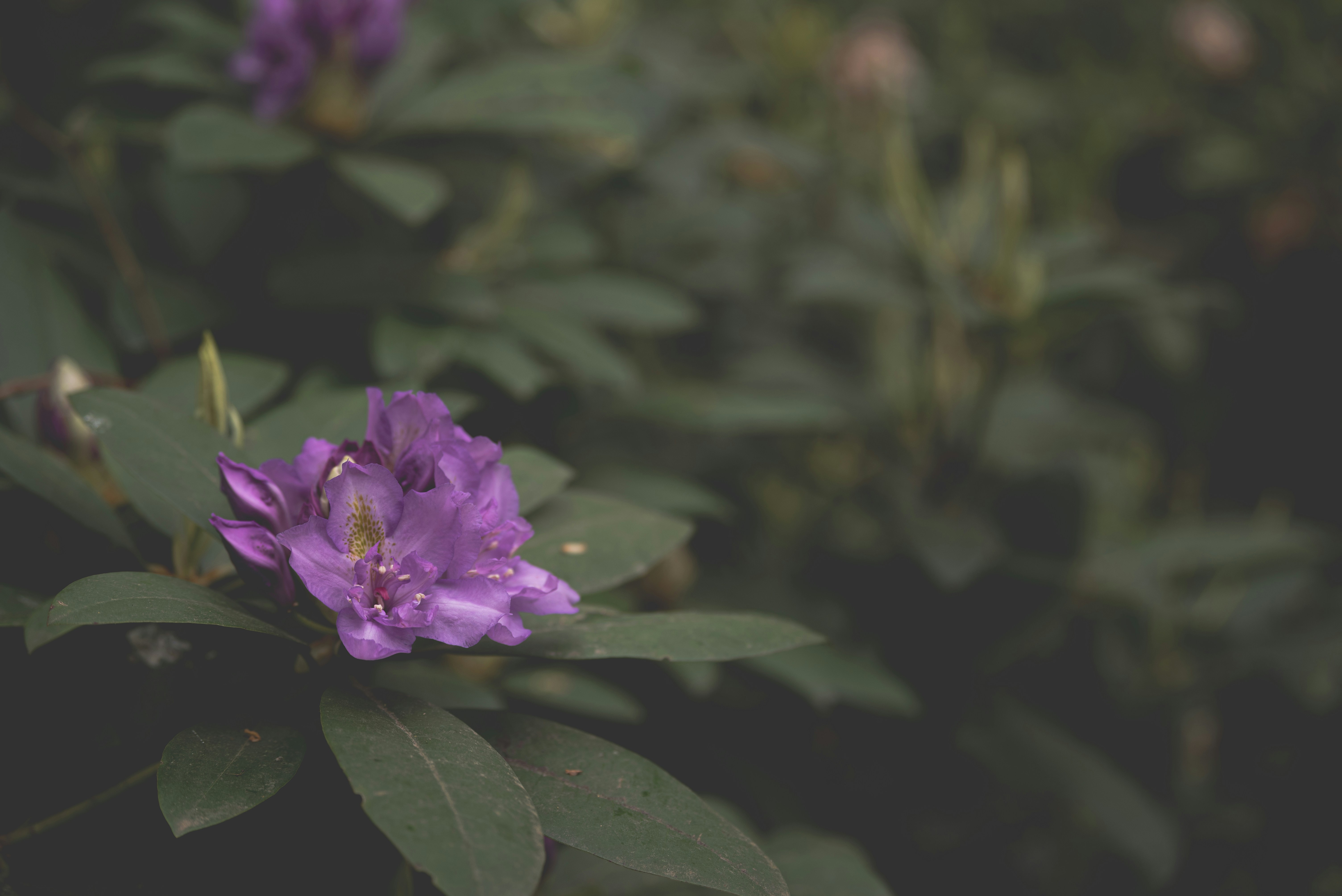 Photo by ellyendeavours