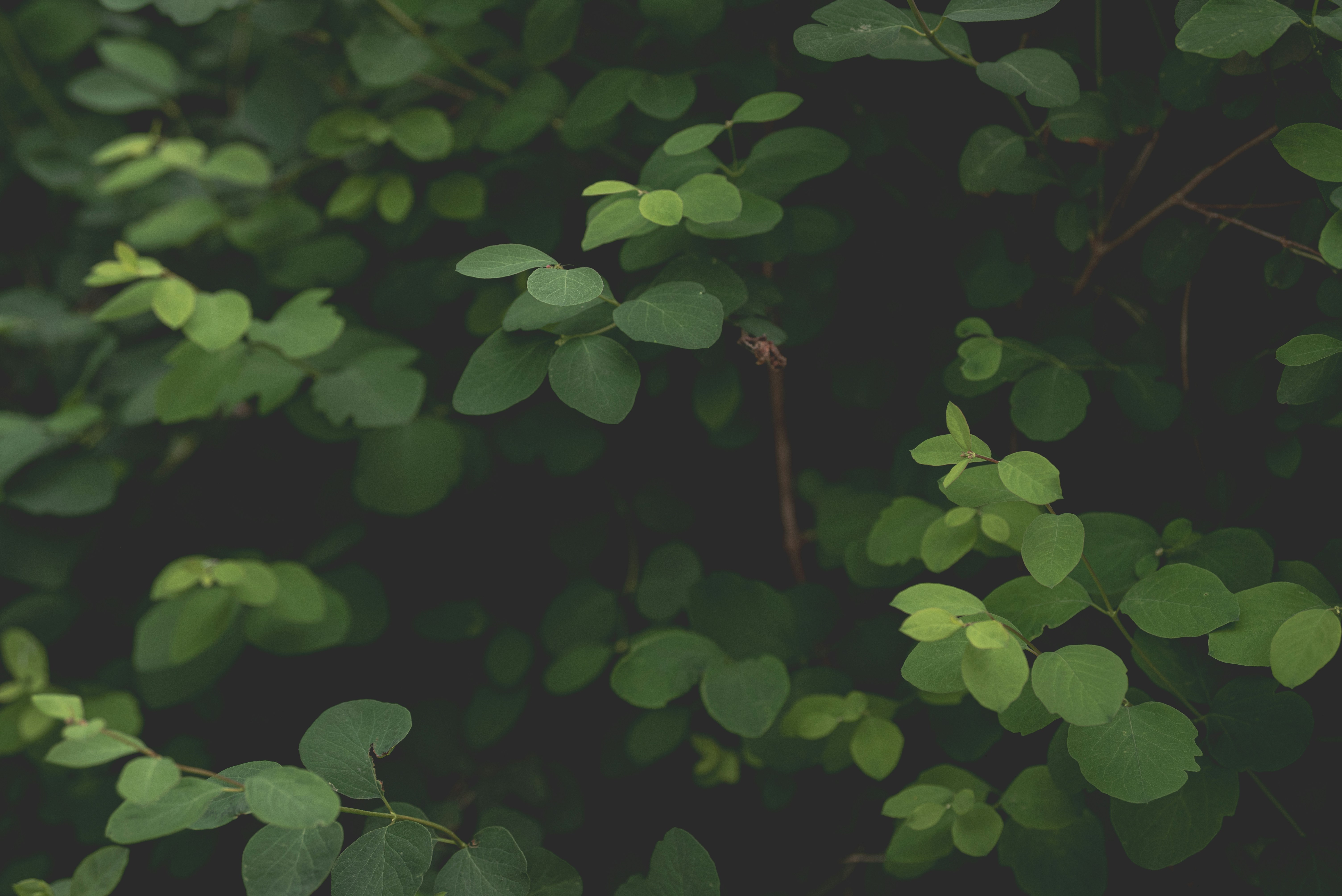 Photo by ellyendeavours