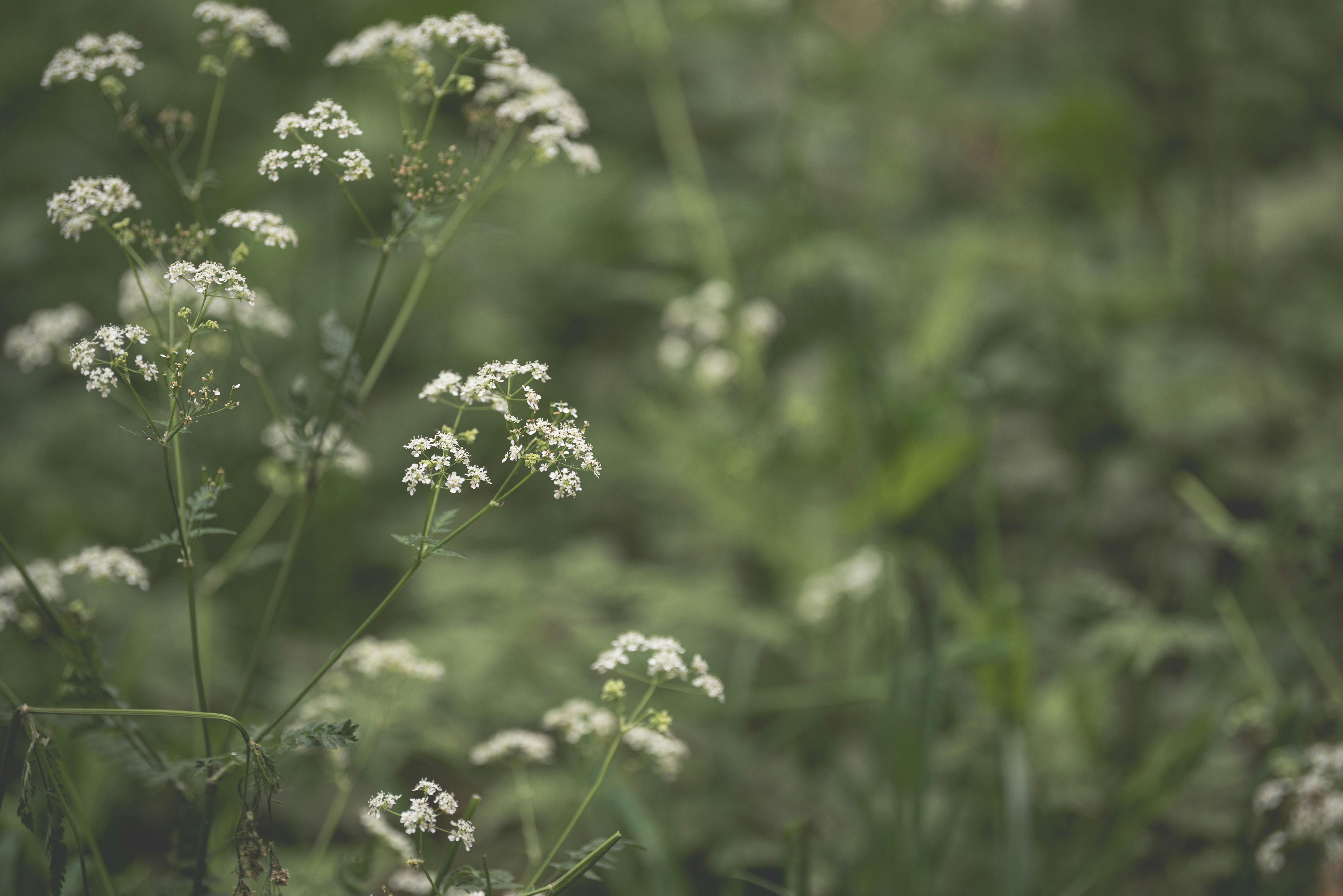 Photo by ellyendeavours