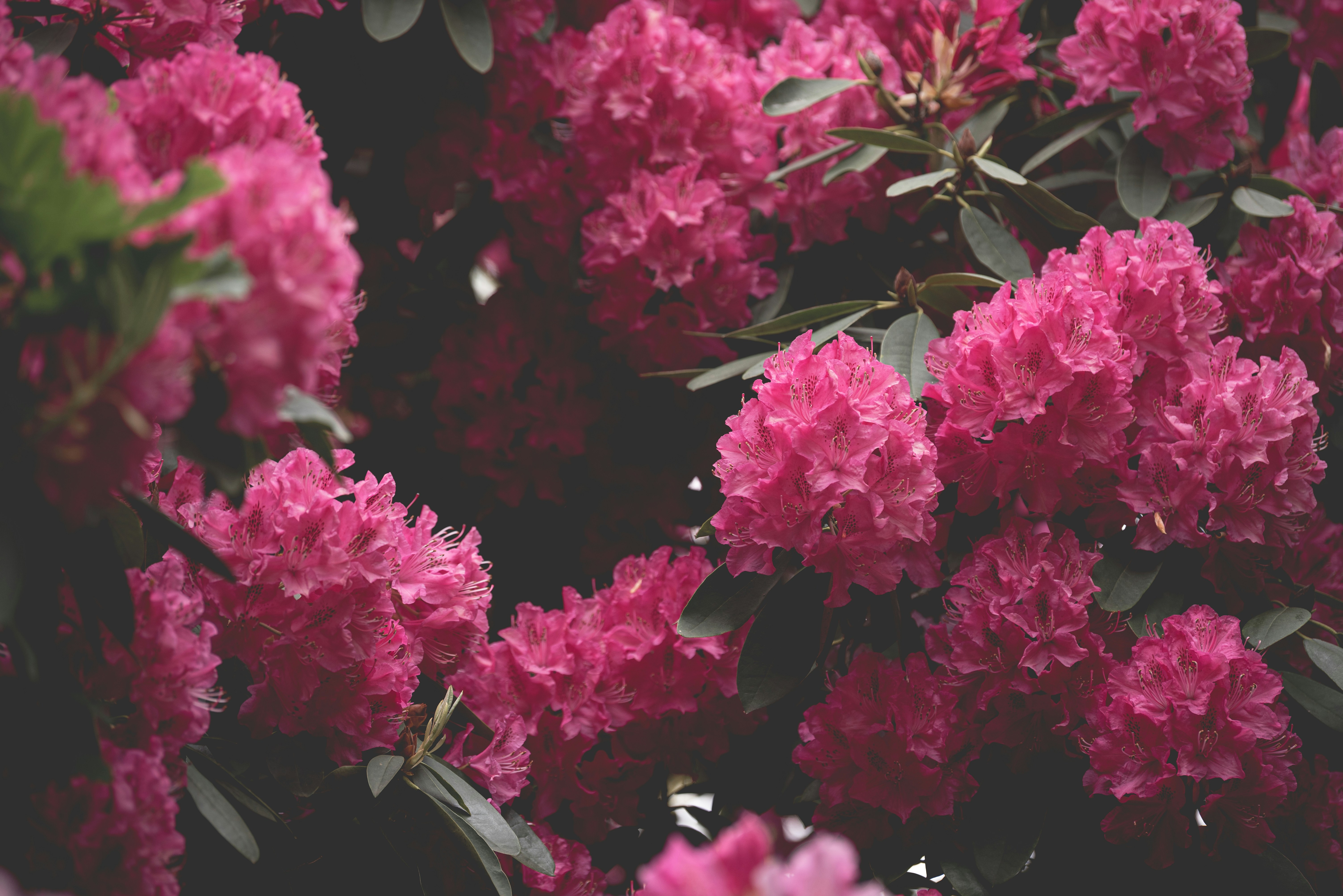 Photo by ellyendeavours