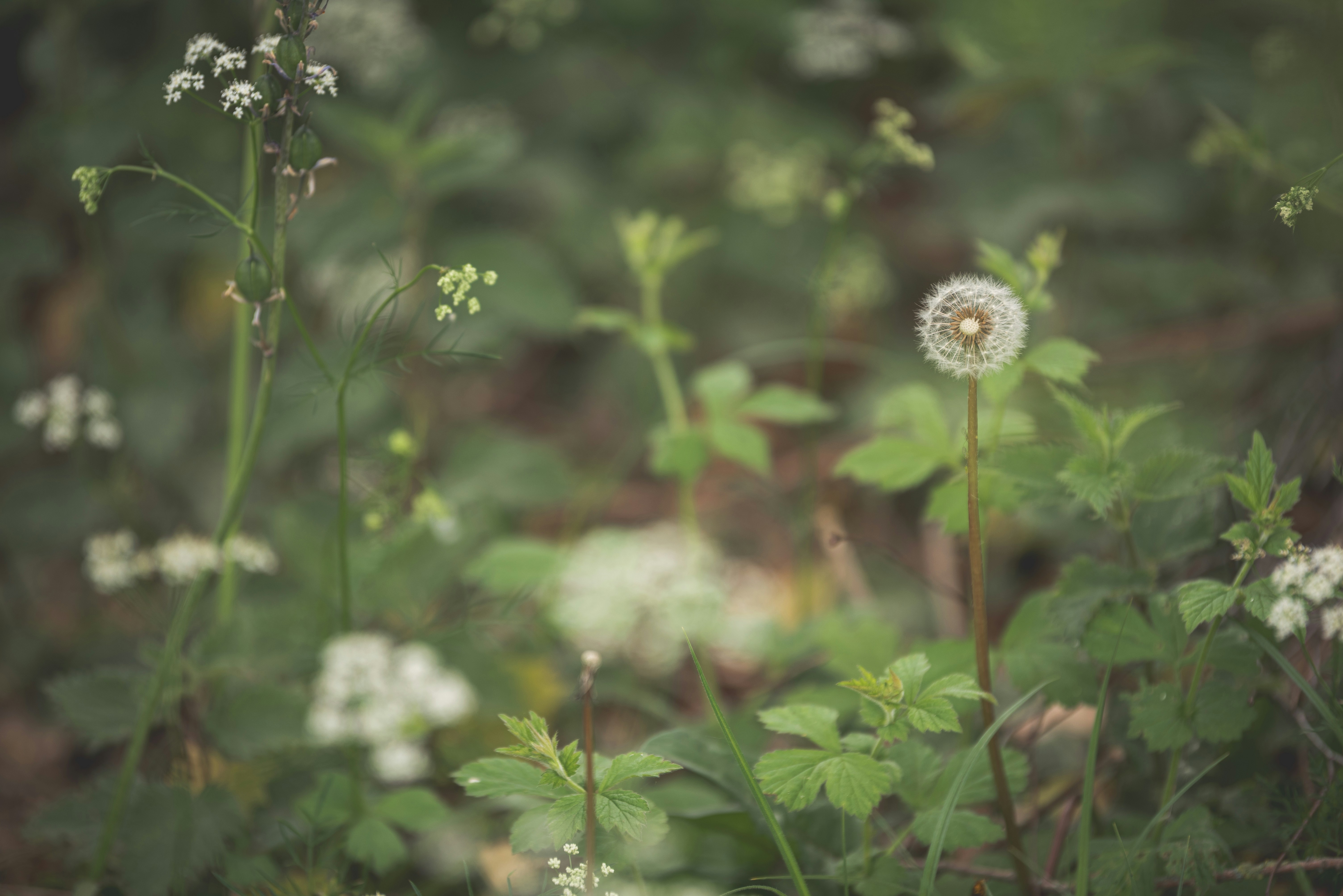 Photo by ellyendeavours