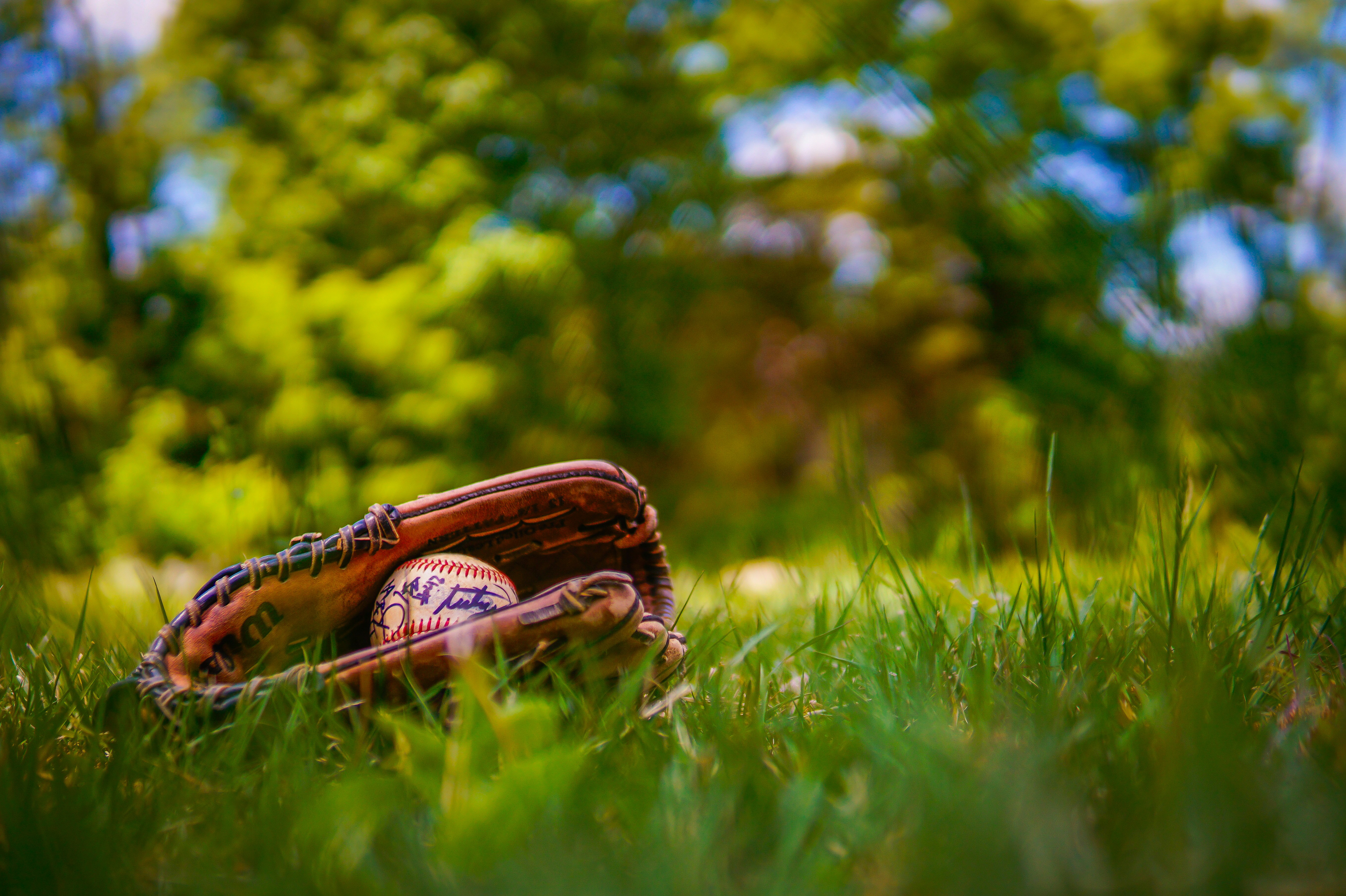 Baseball glove with ball resting on green grass.