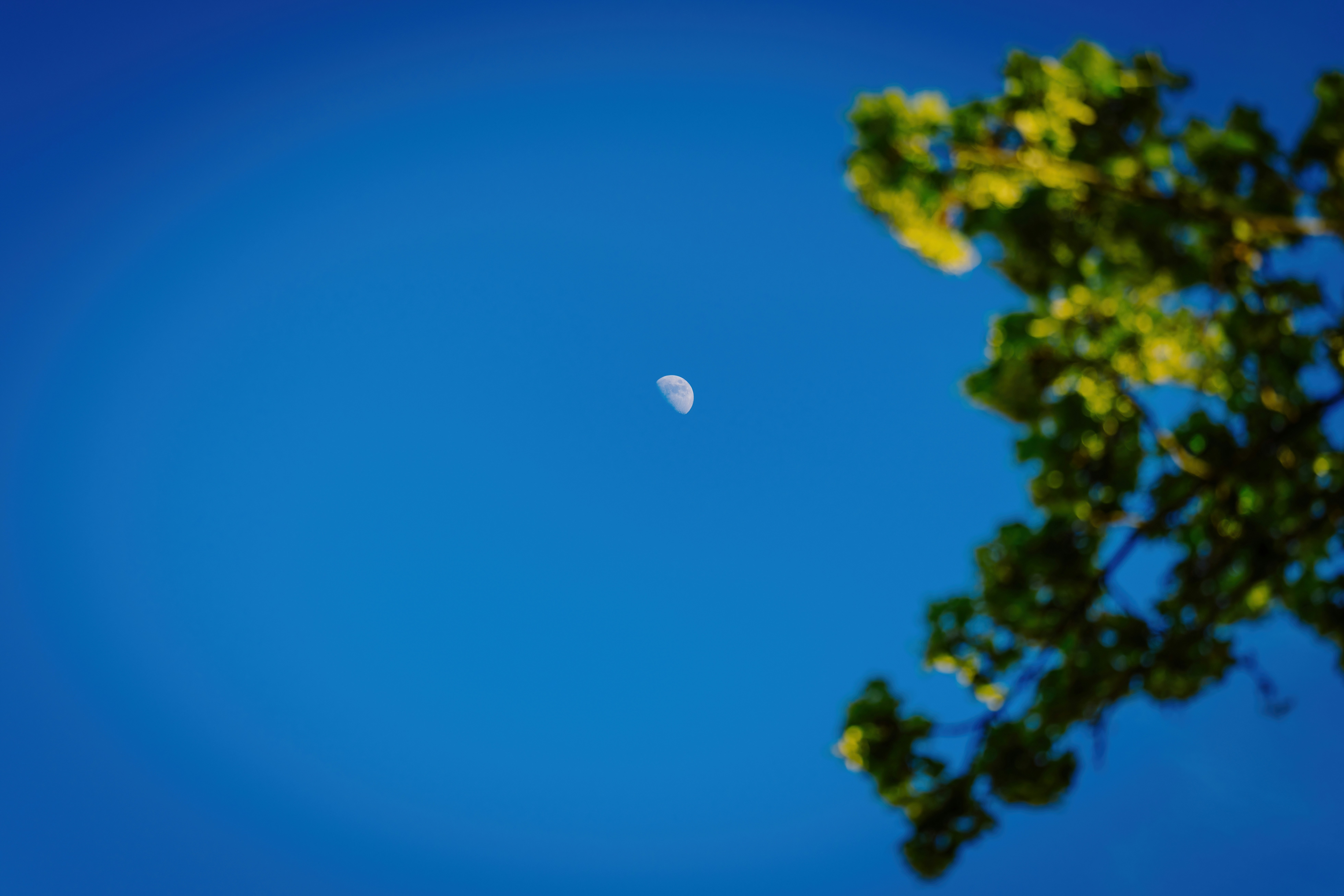 Luna creciente en un cielo azul claro.