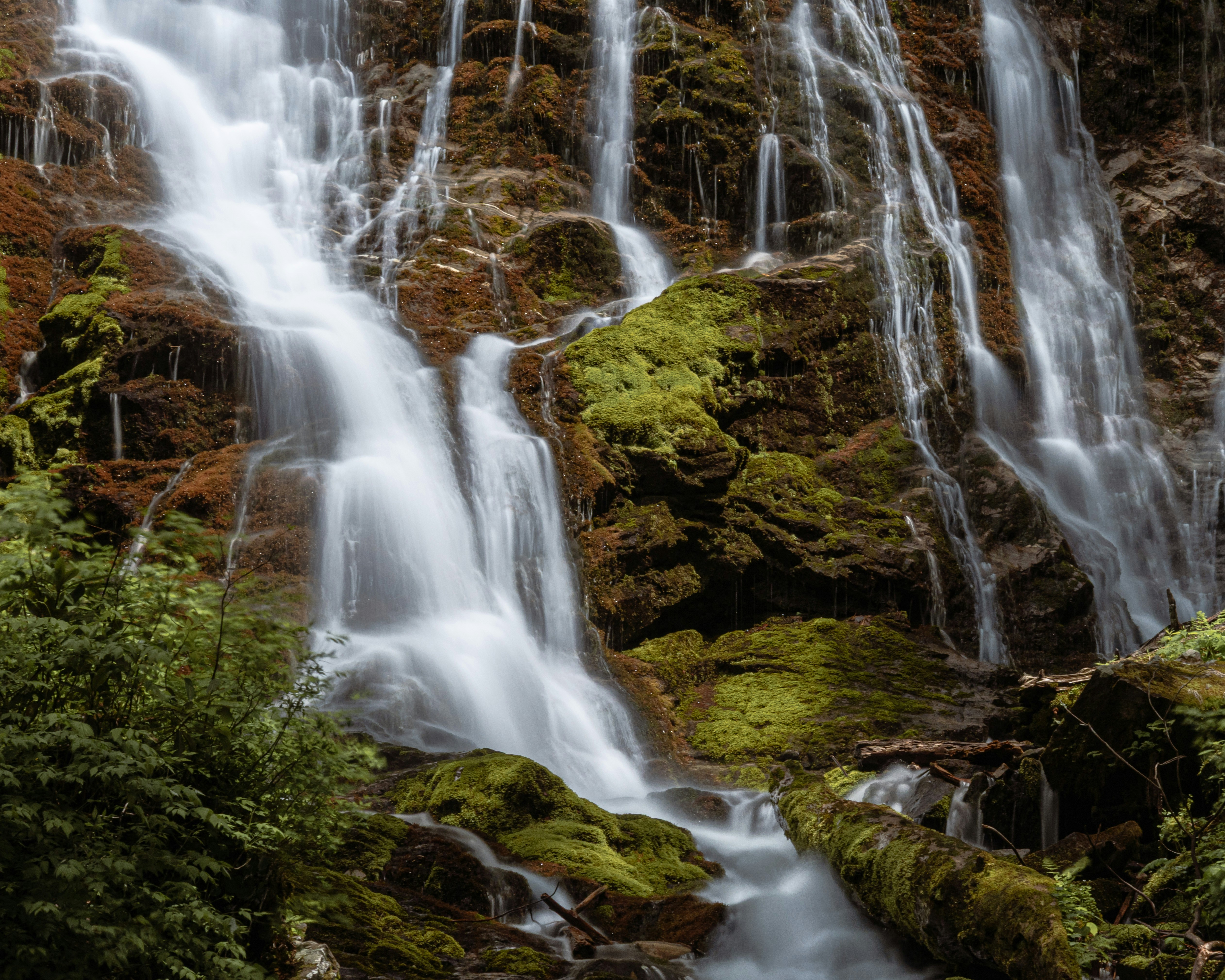 Uma cachoeira desce sobre rochas cobertas de musgo em uma floresta.