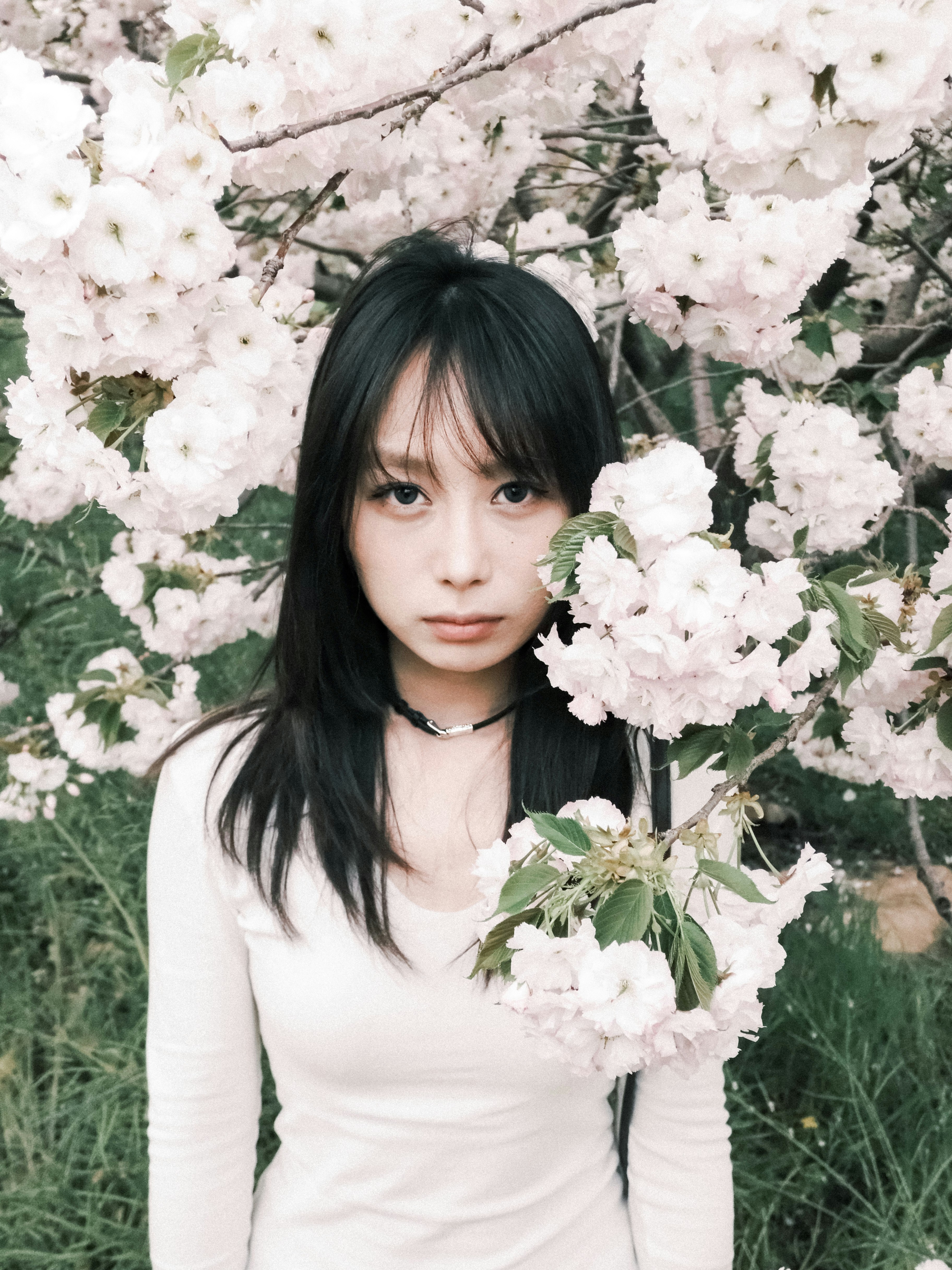 Young woman posing near blooming cherry blossoms