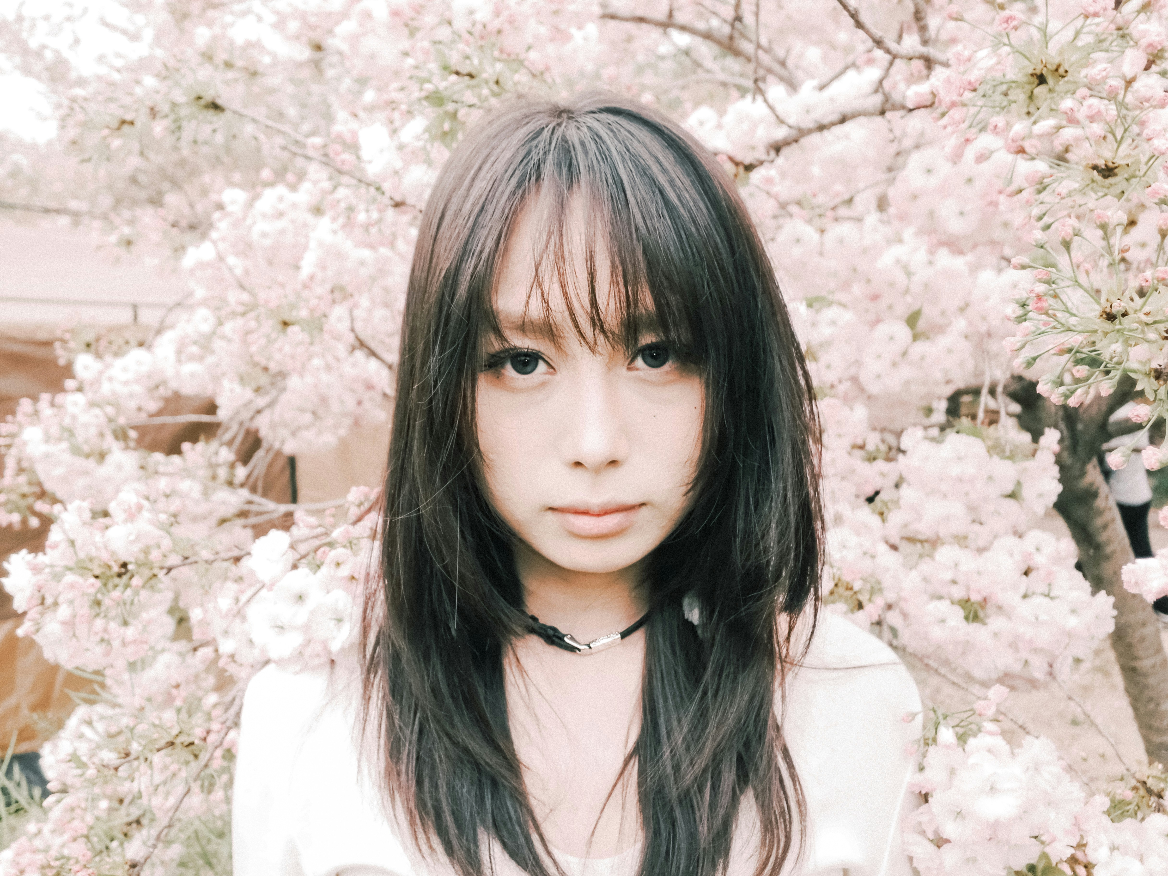 Young woman with dark hair in front of cherry blossoms