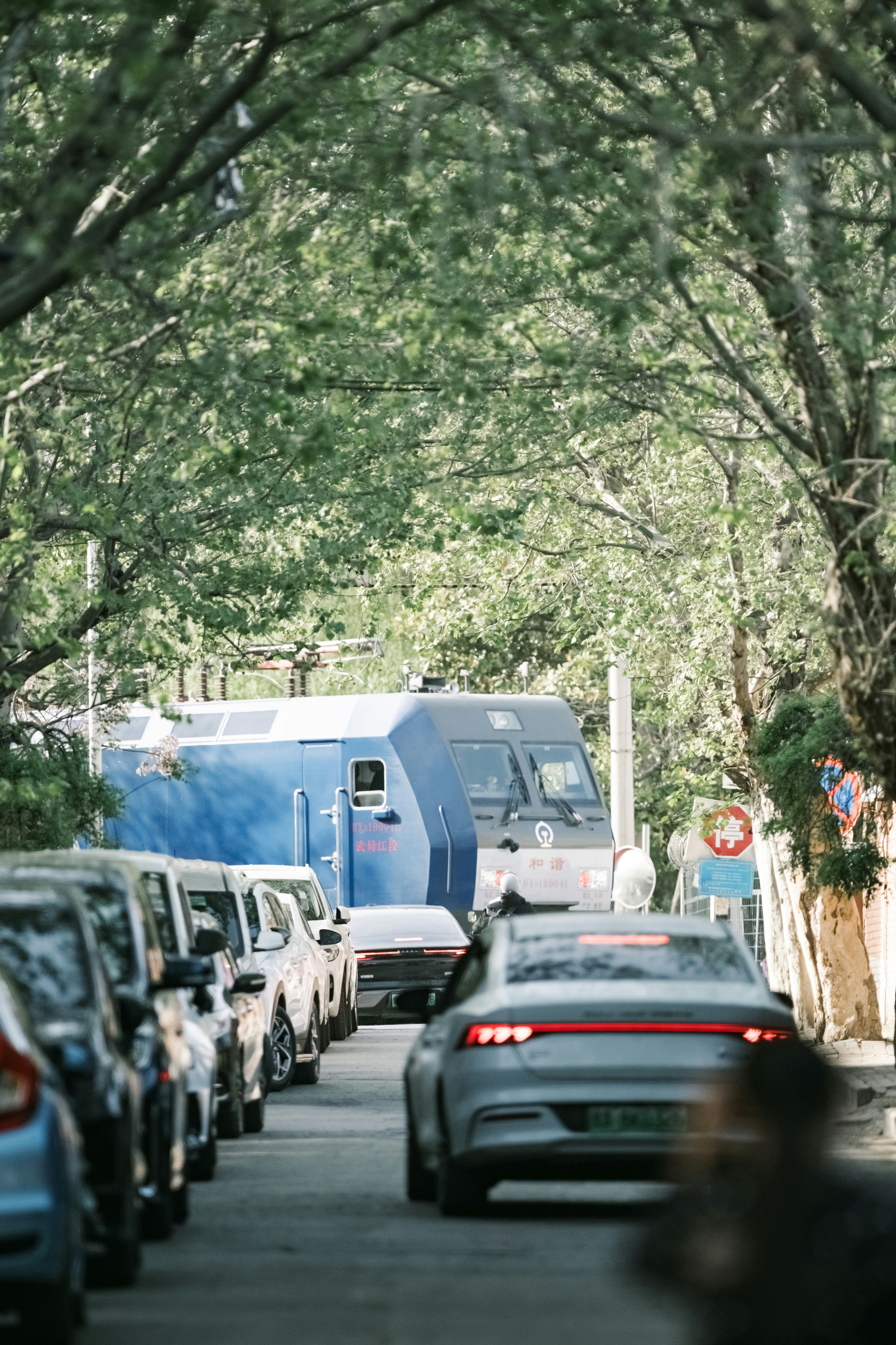 Blue train approaches cars on tree-lined road.