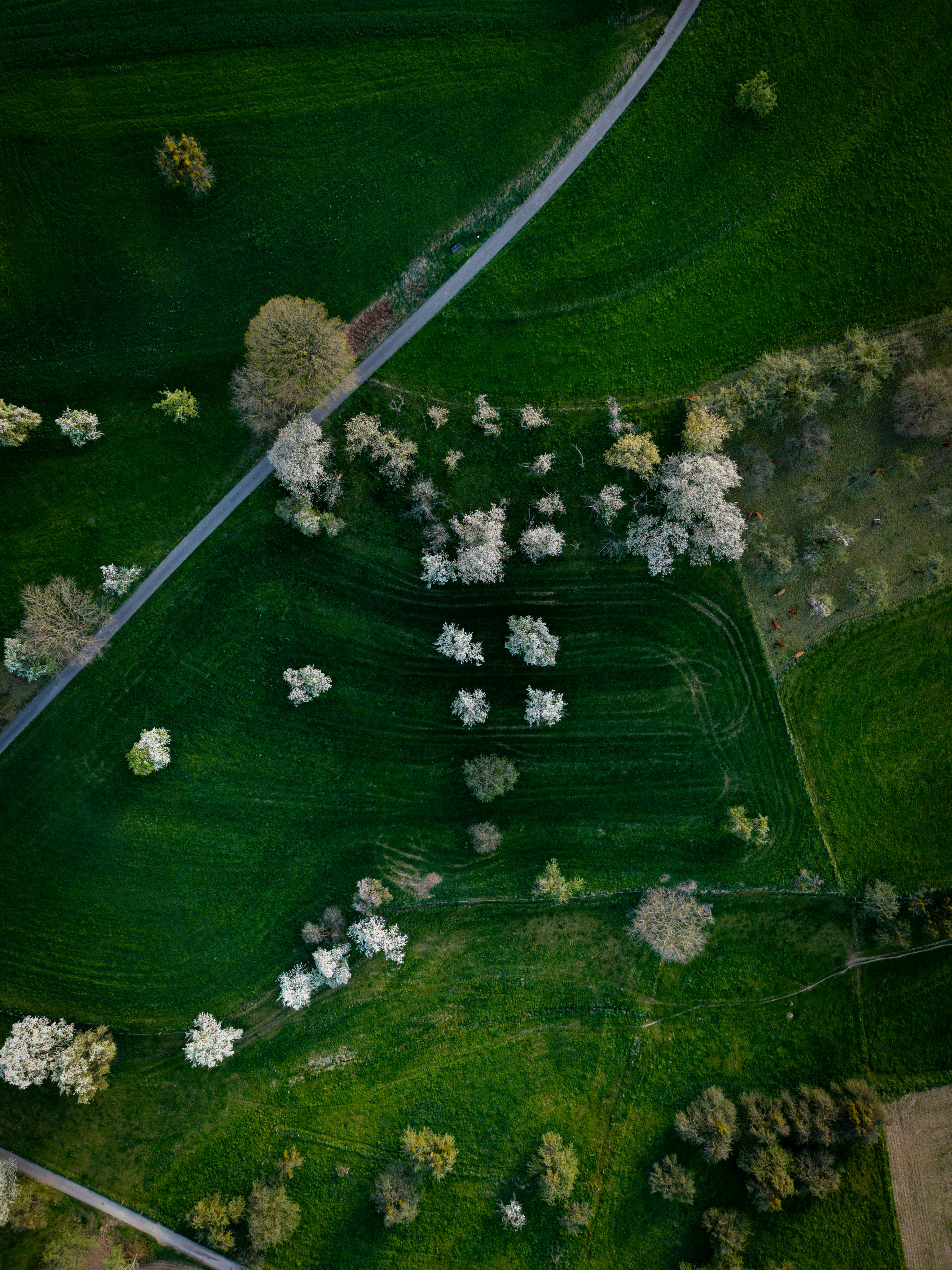 Photo by hdbernd