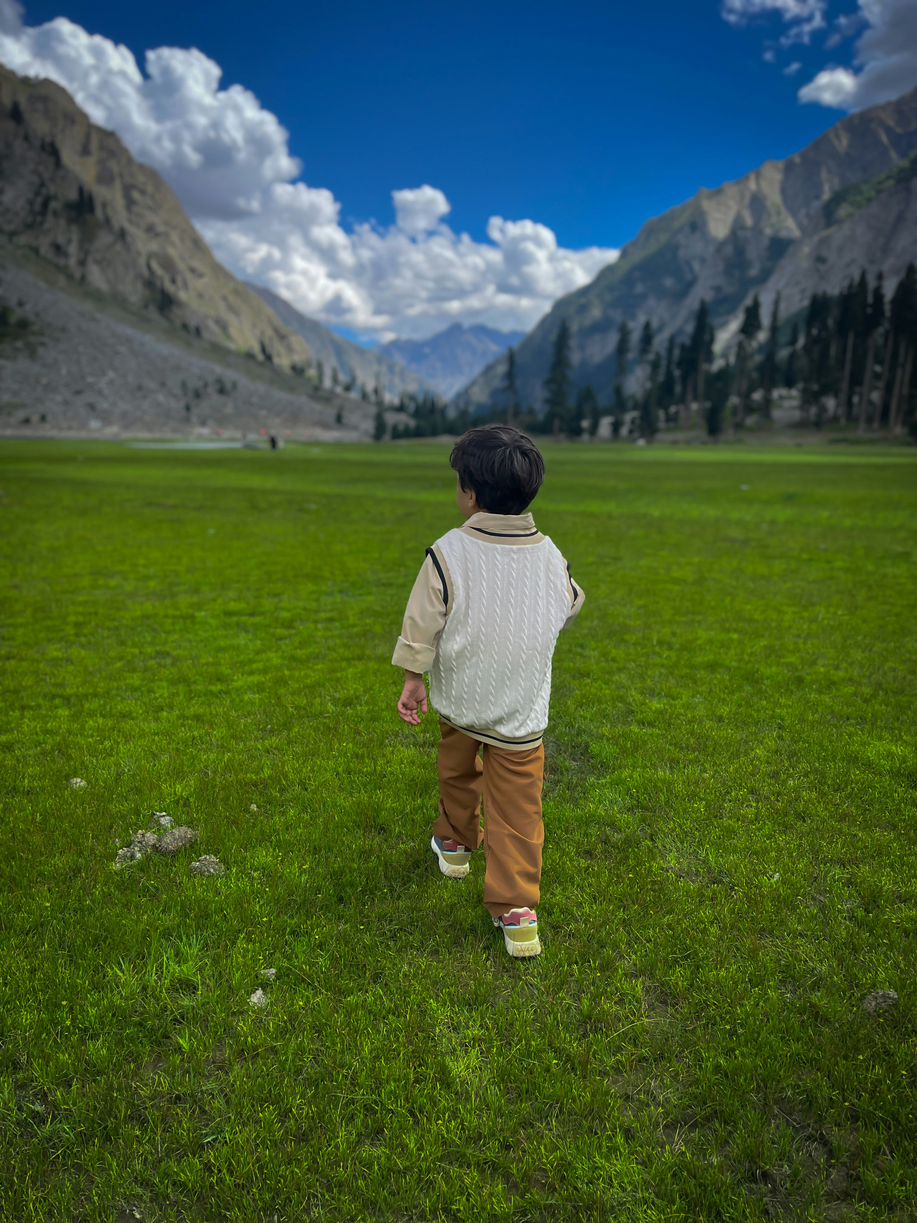 A child walks through a vast green field towards mountains.