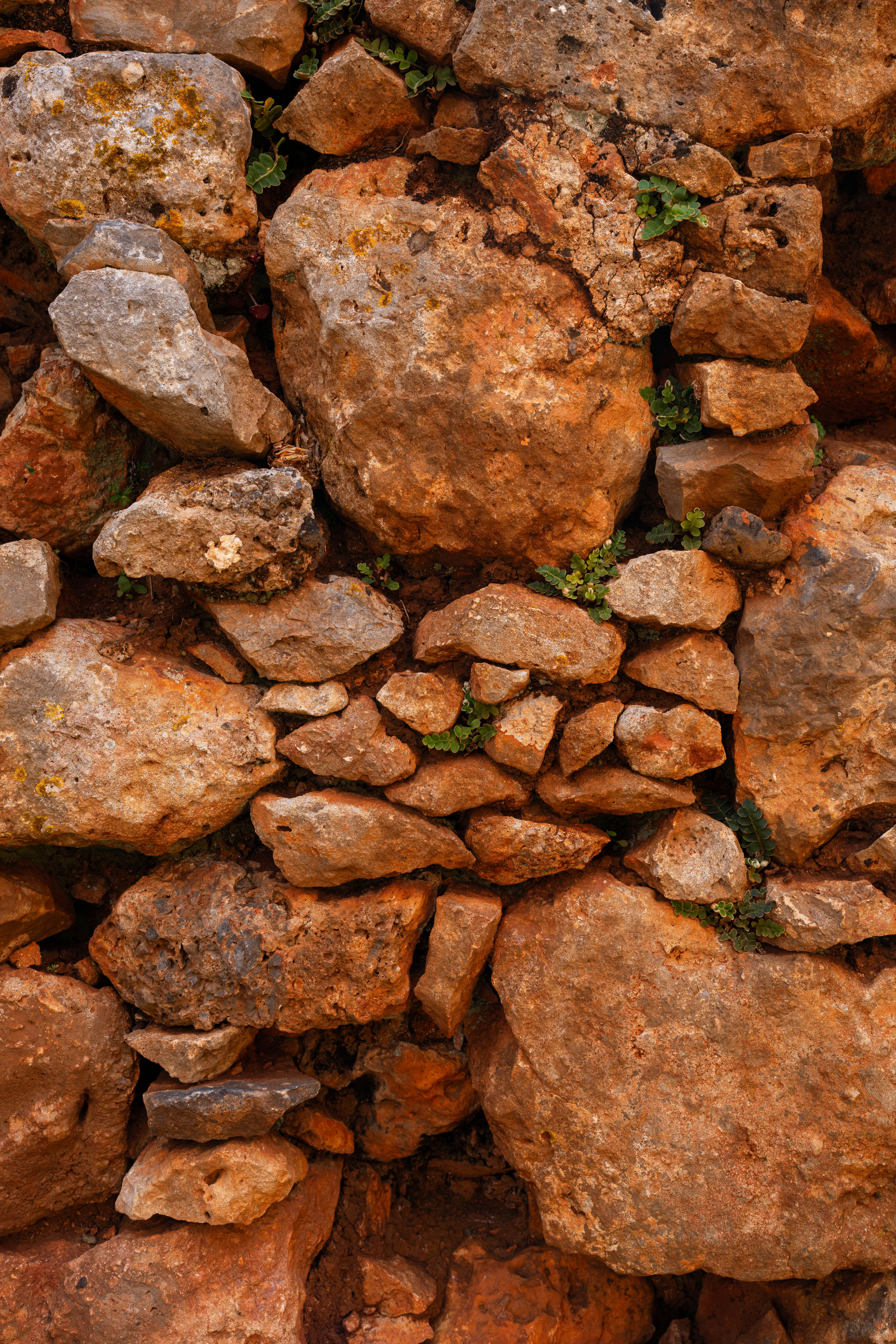 Eine raue Steinmauer mit kleinen grünen Pflanzen, die wachsen.