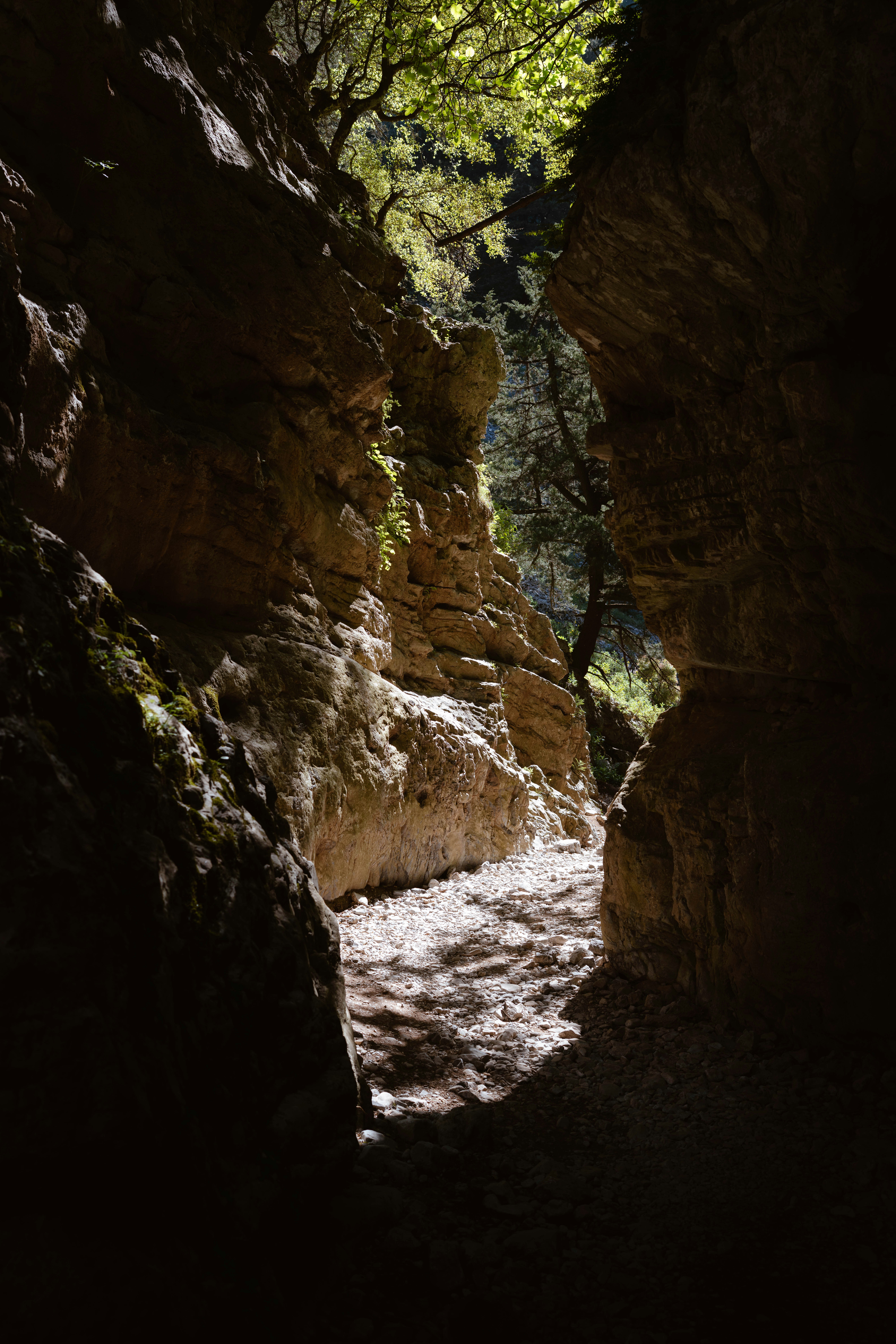 Sonnenbeschienener Weg durch eine felsige Schlucht mit Bäumen