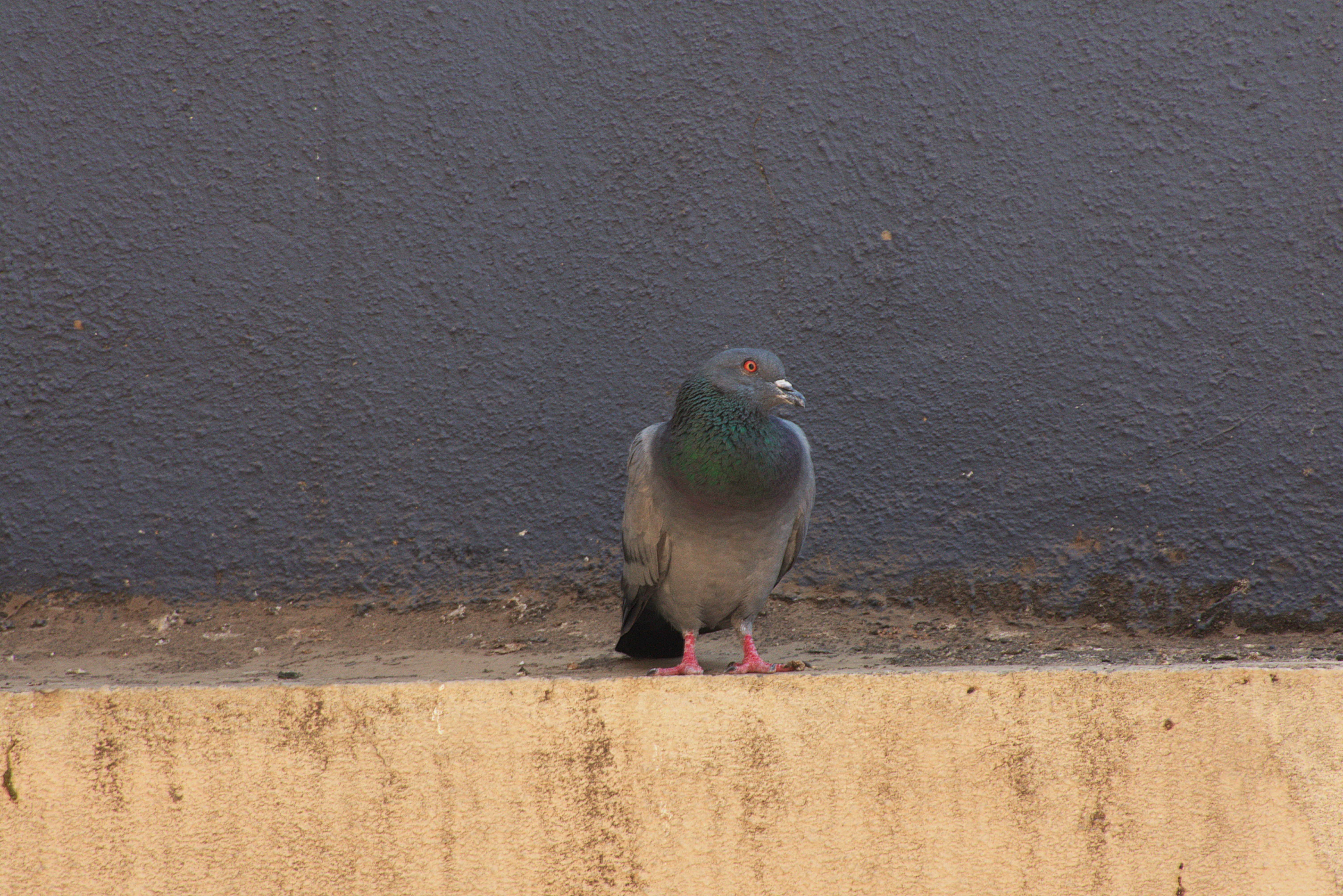 Photo by dhanu1966