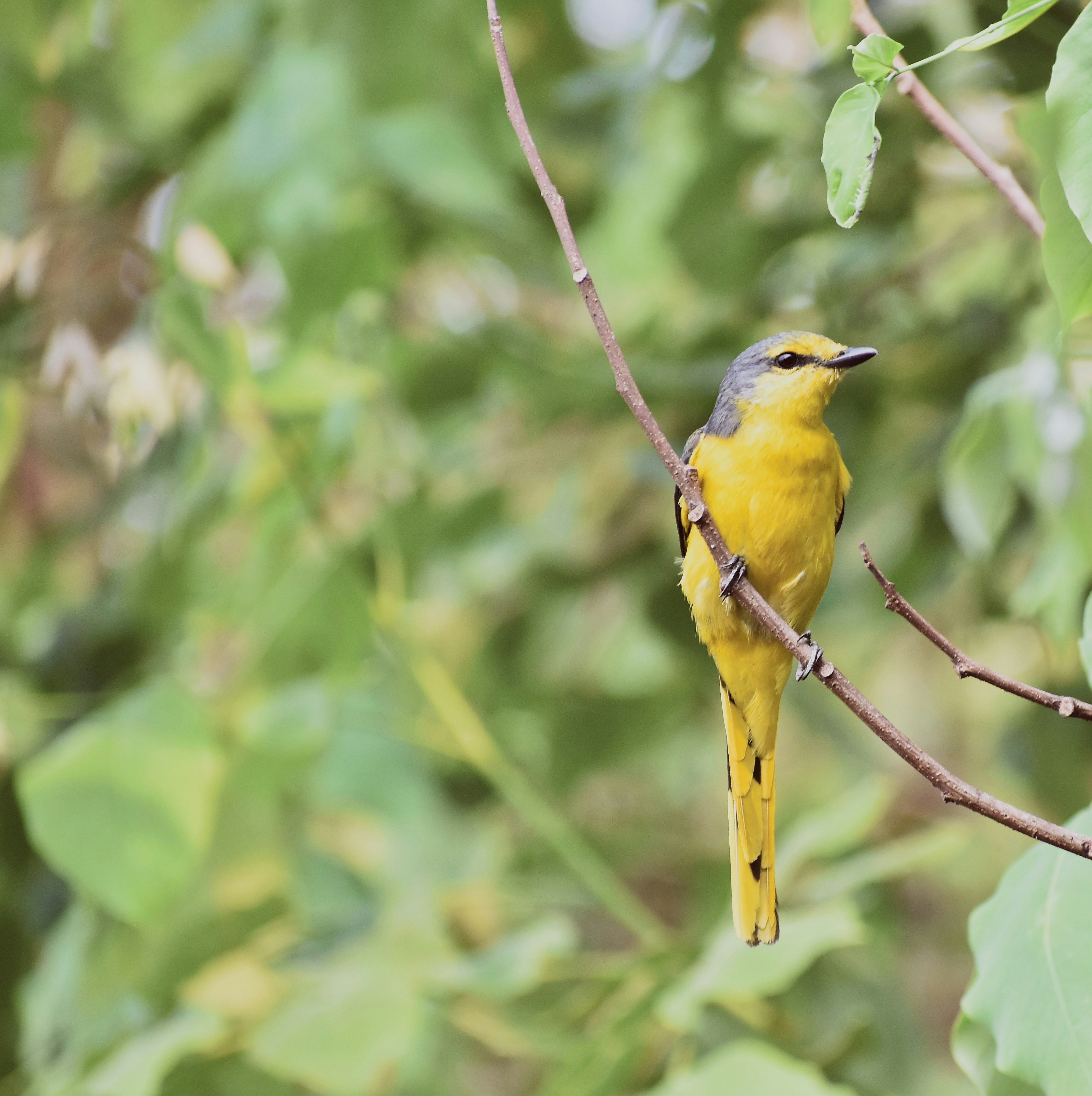 Photo by dhanu1966