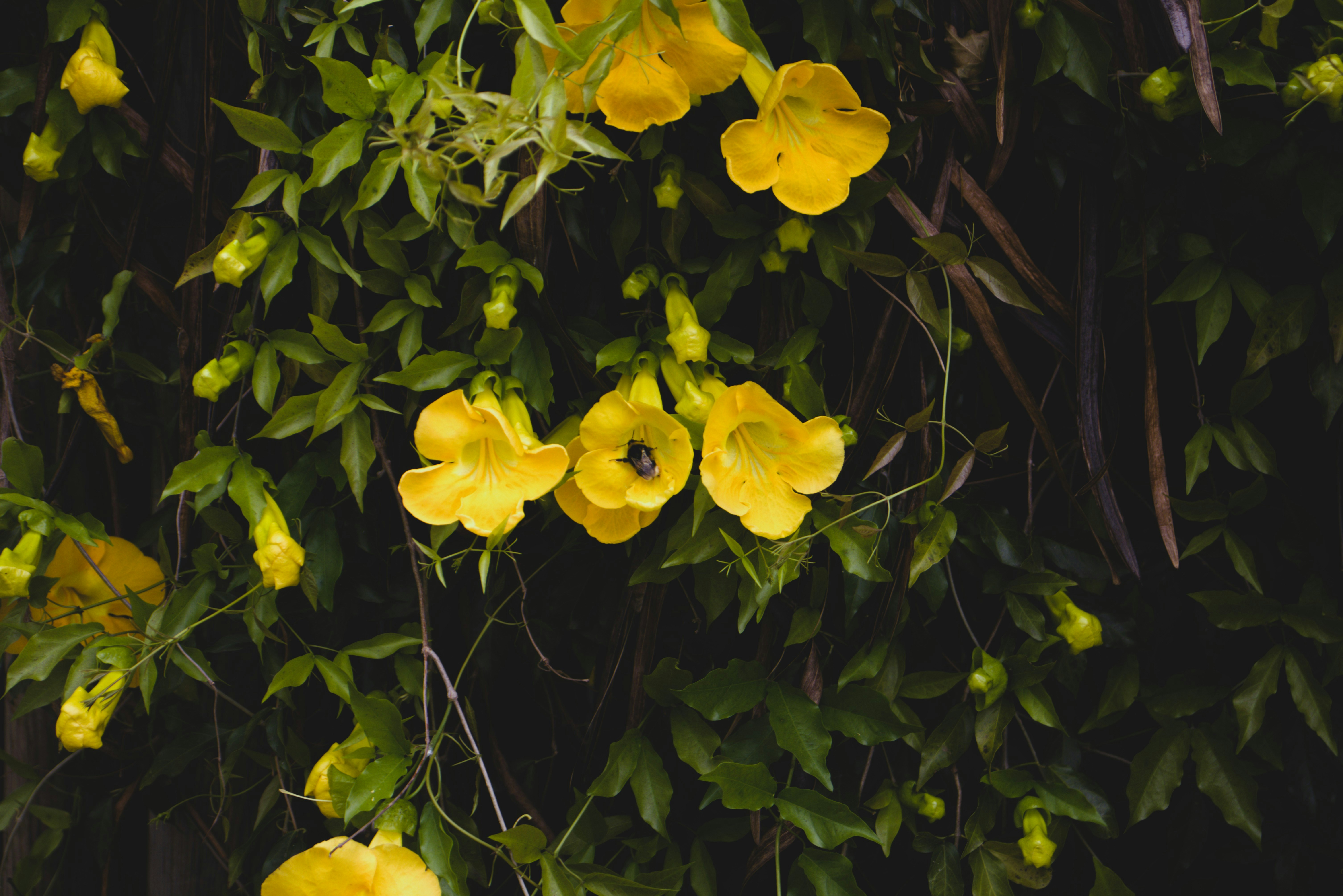Photo by libro96