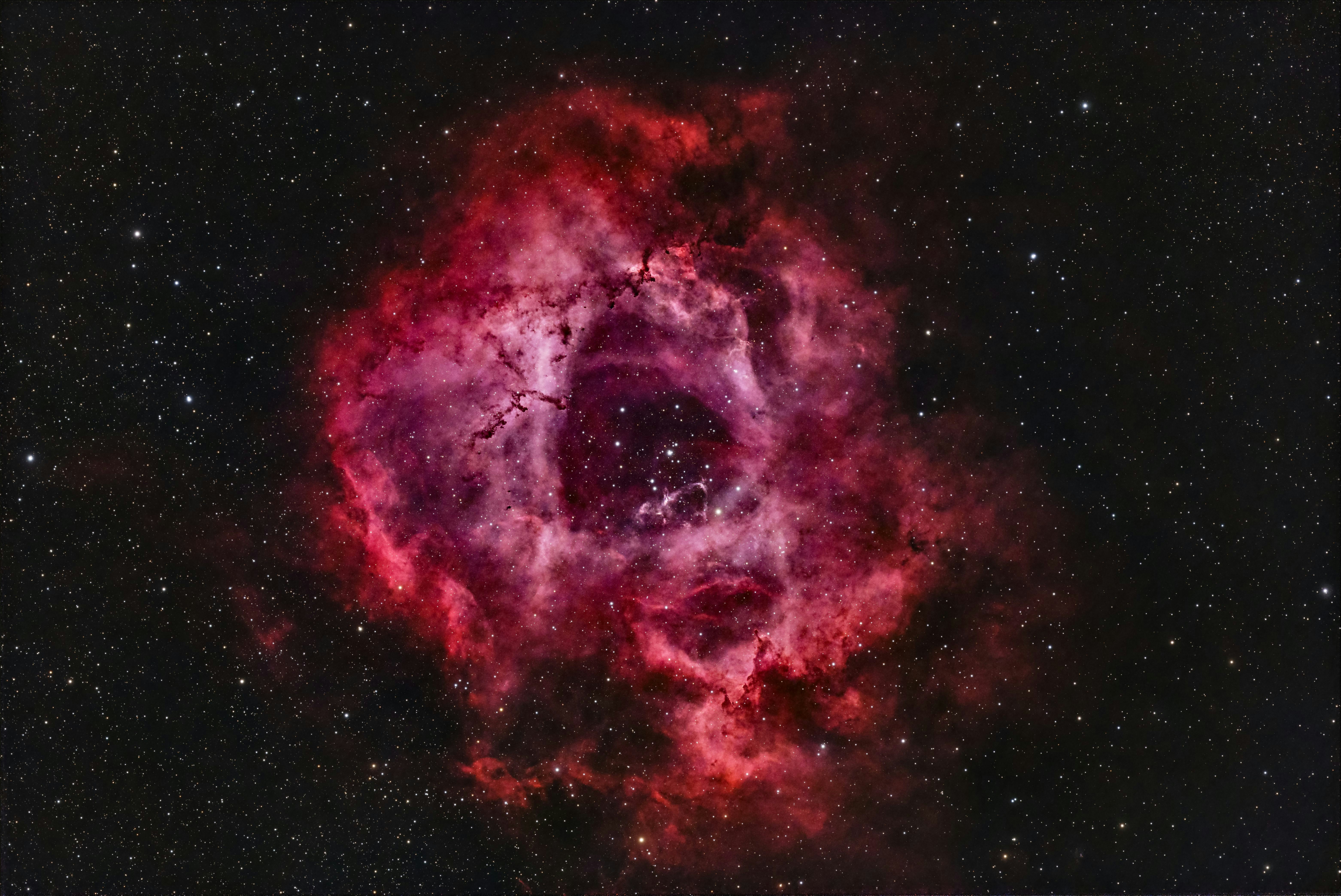 The rosette nebula in vibrant red and pink hues.