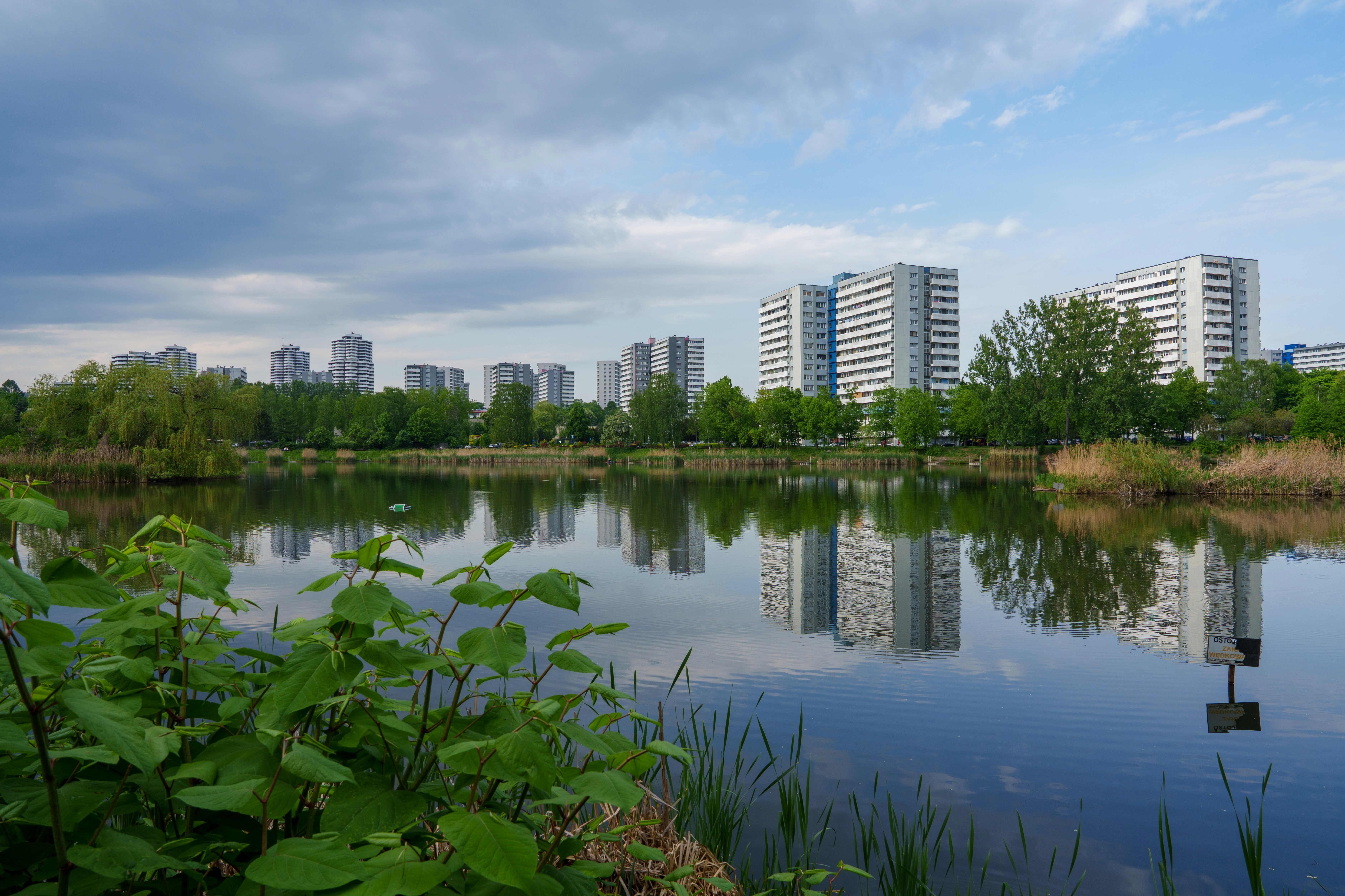 Expat Guide to Living in Katowice (2026)