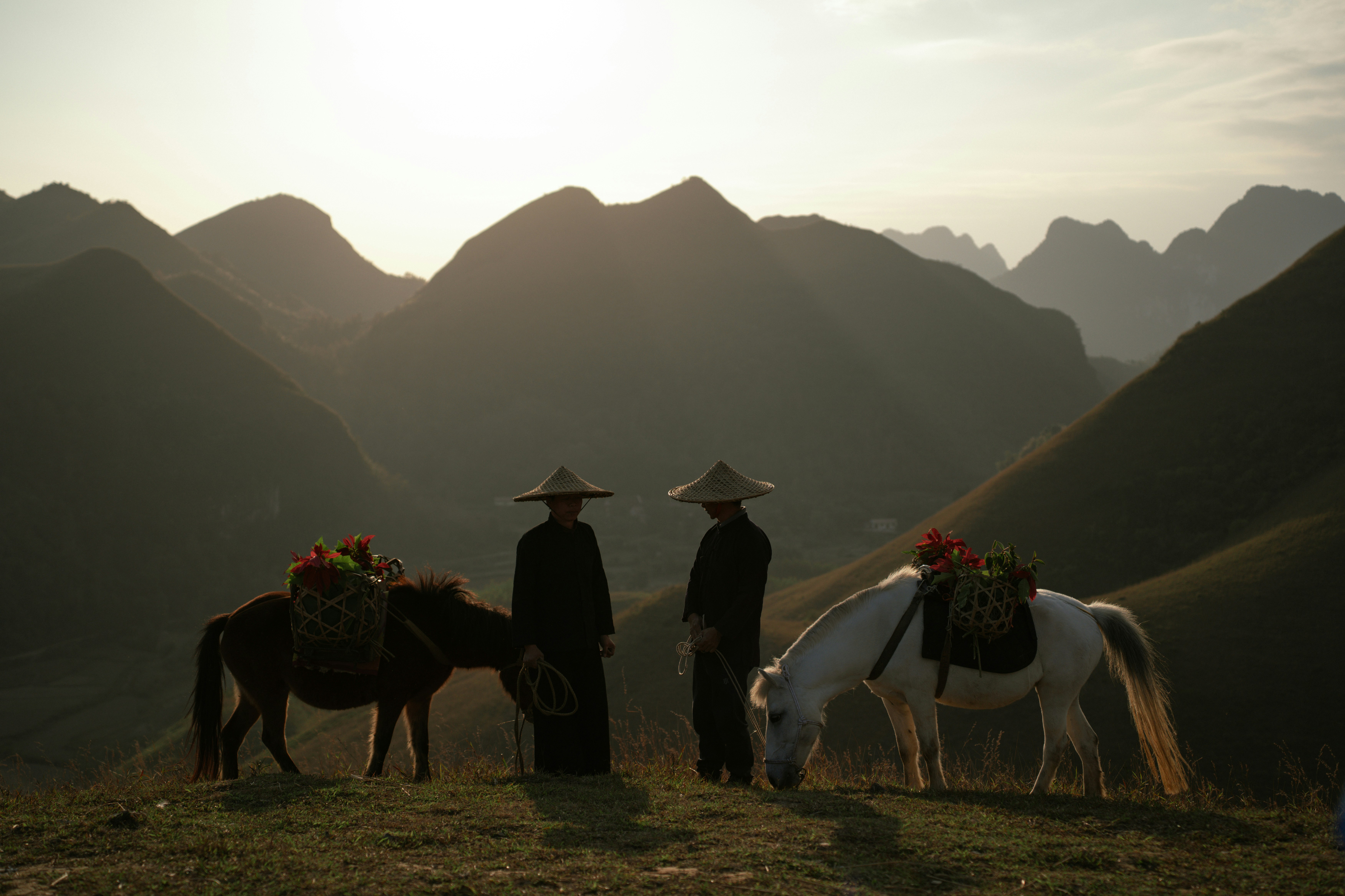 Photo of Two people with horses in a mountainous landscape by Chinh Le Duc