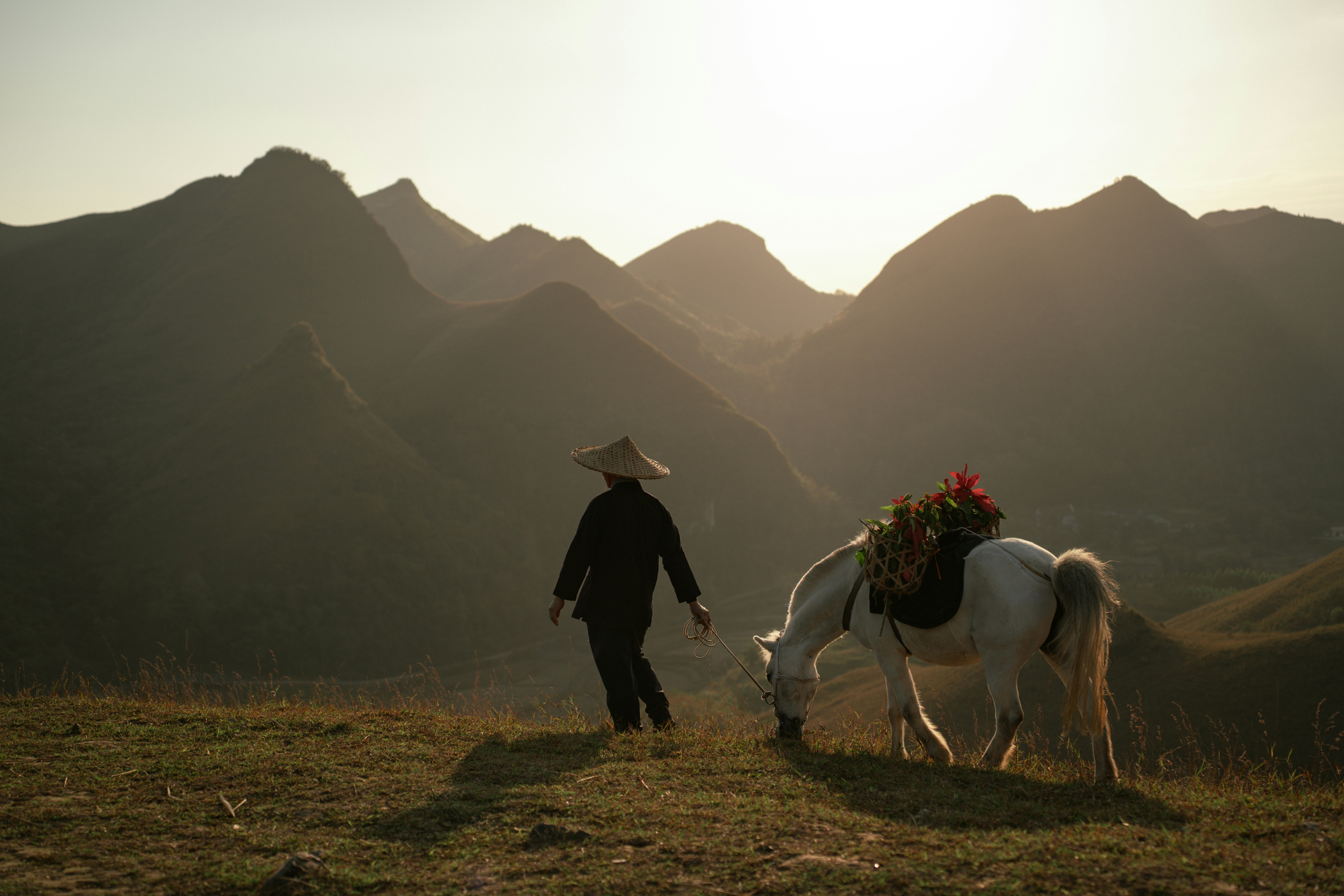 Person in conical hat walks with horse at sunset