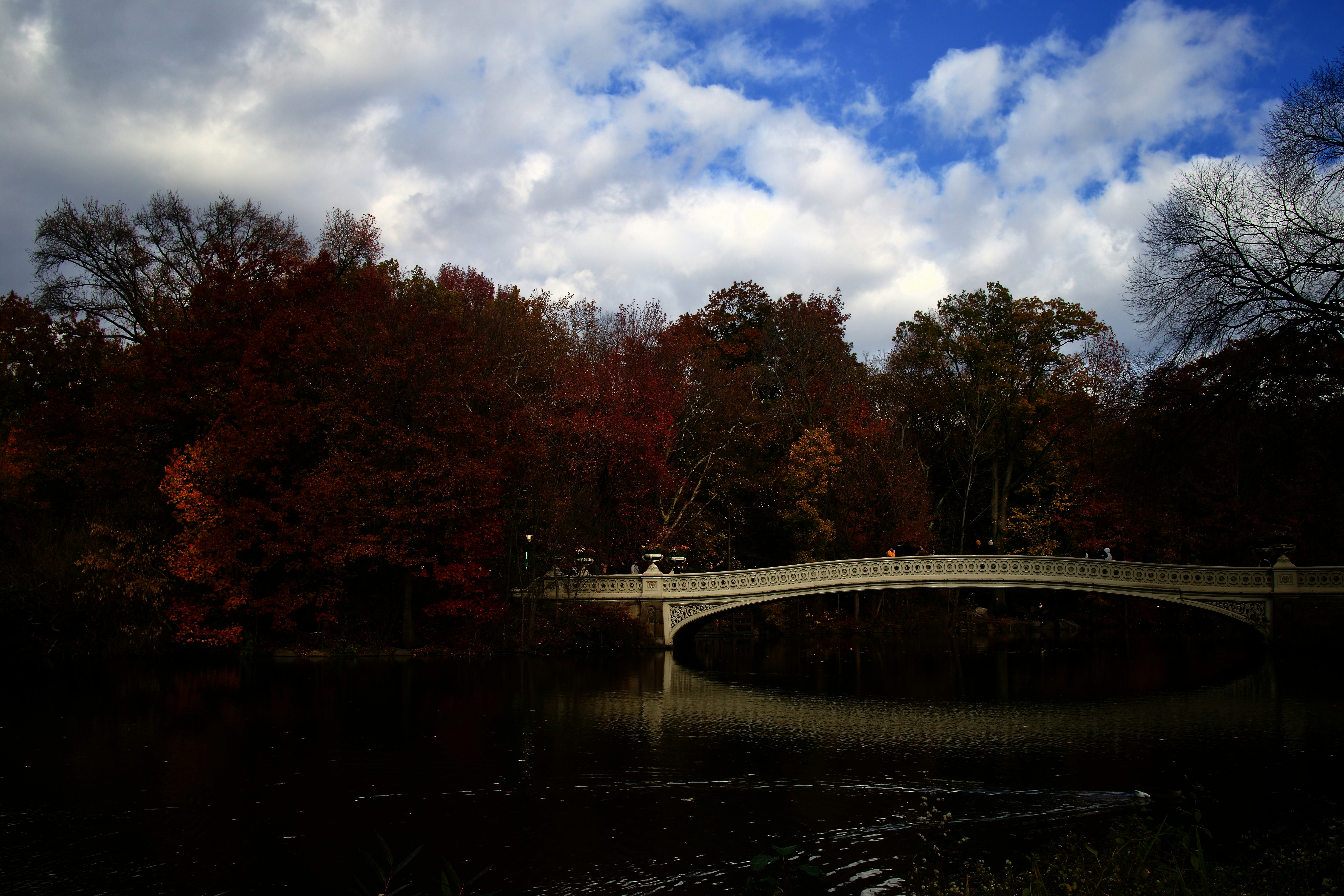 Photo by hongtonglin