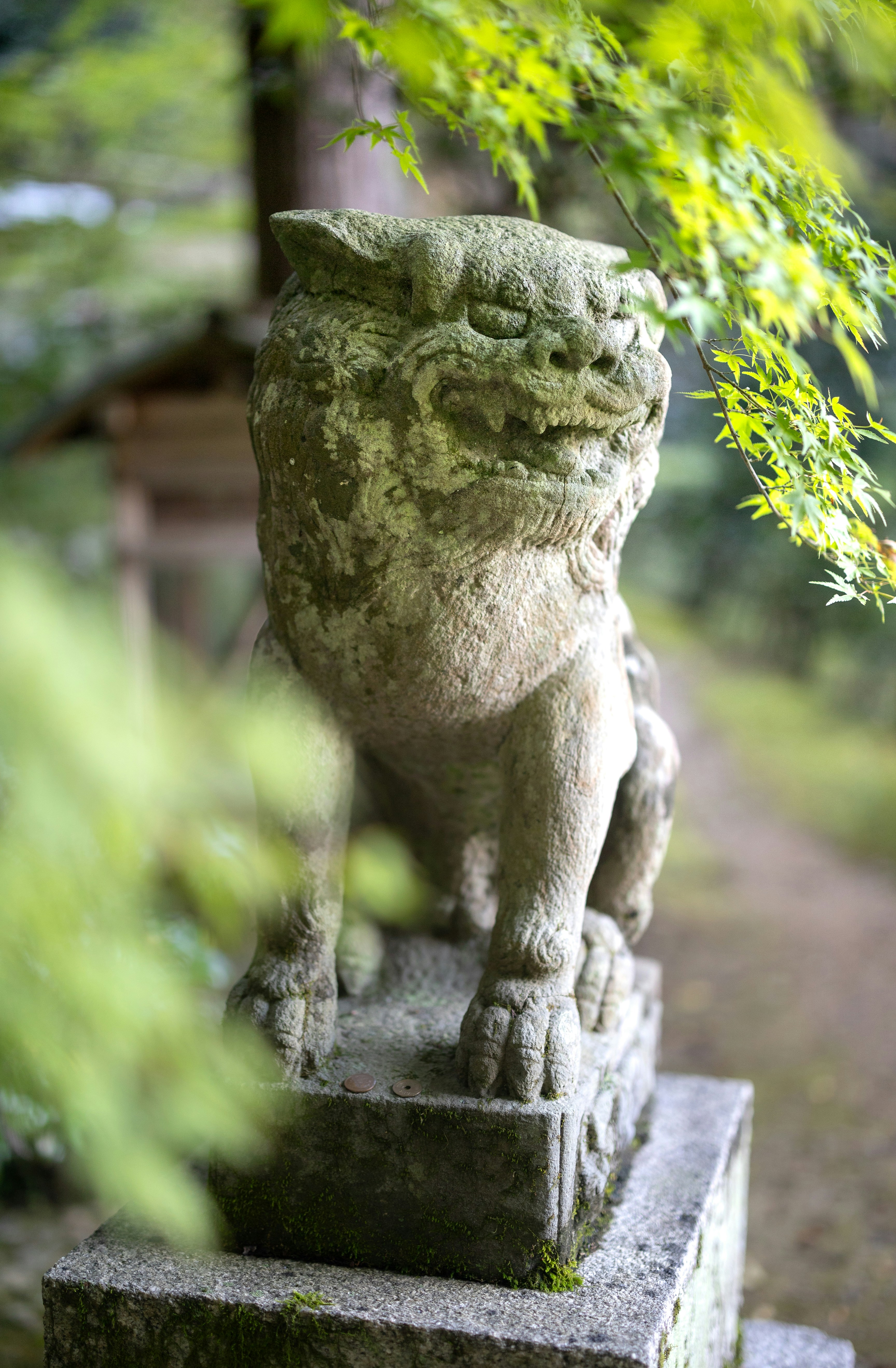 Stone lion statue in a lush green forest setting