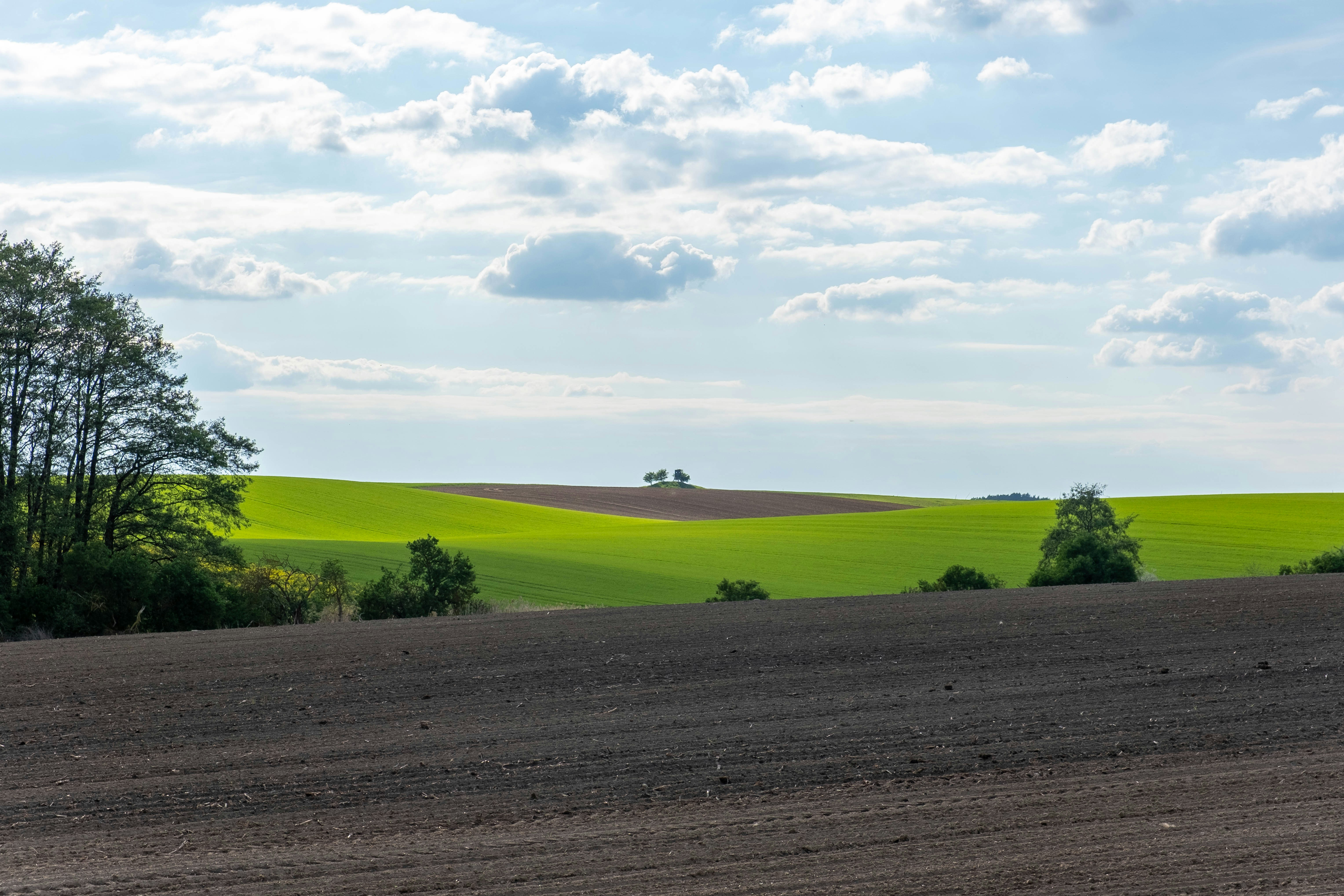 Photo by skajpel