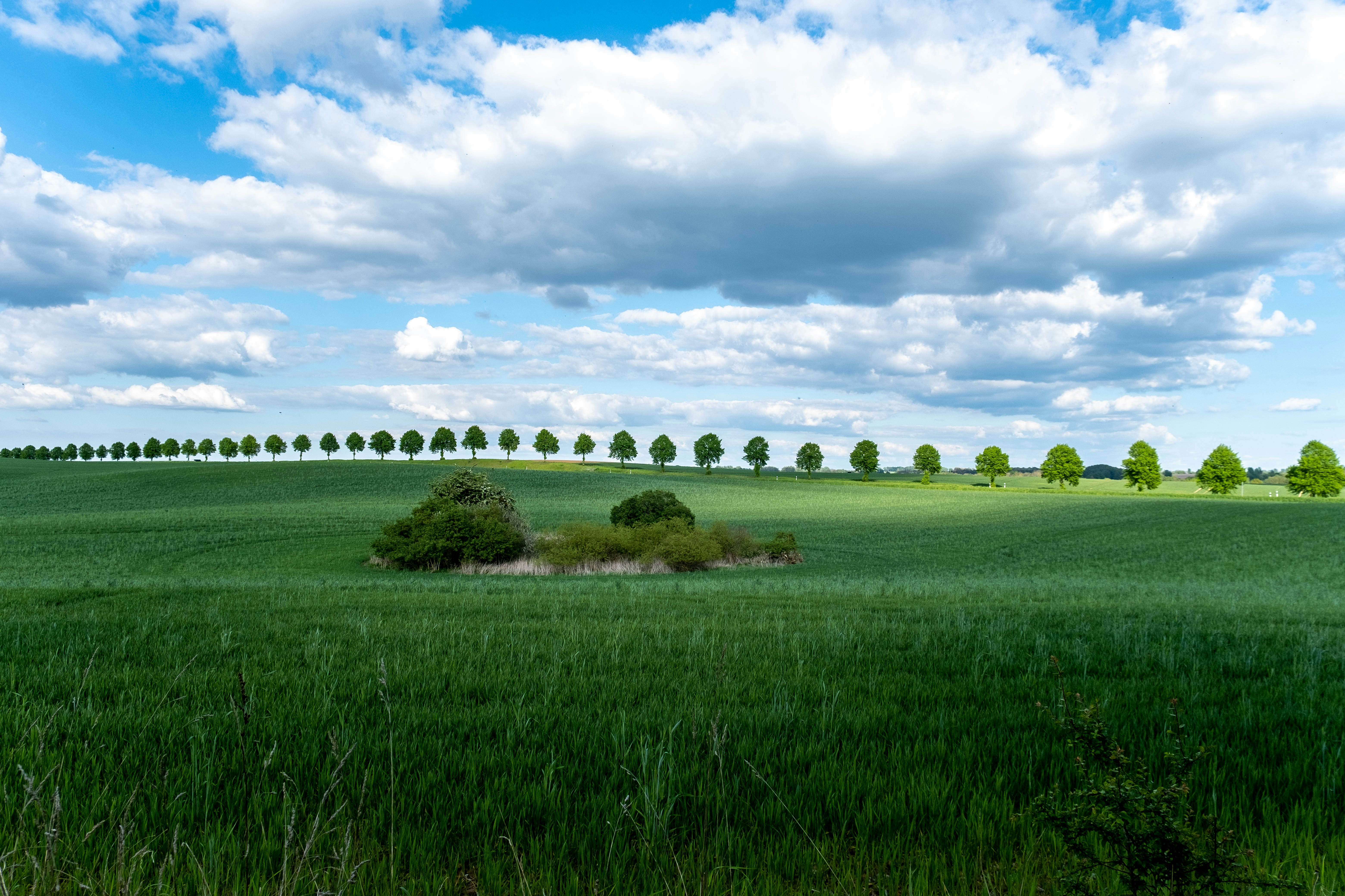 Photo by skajpel
