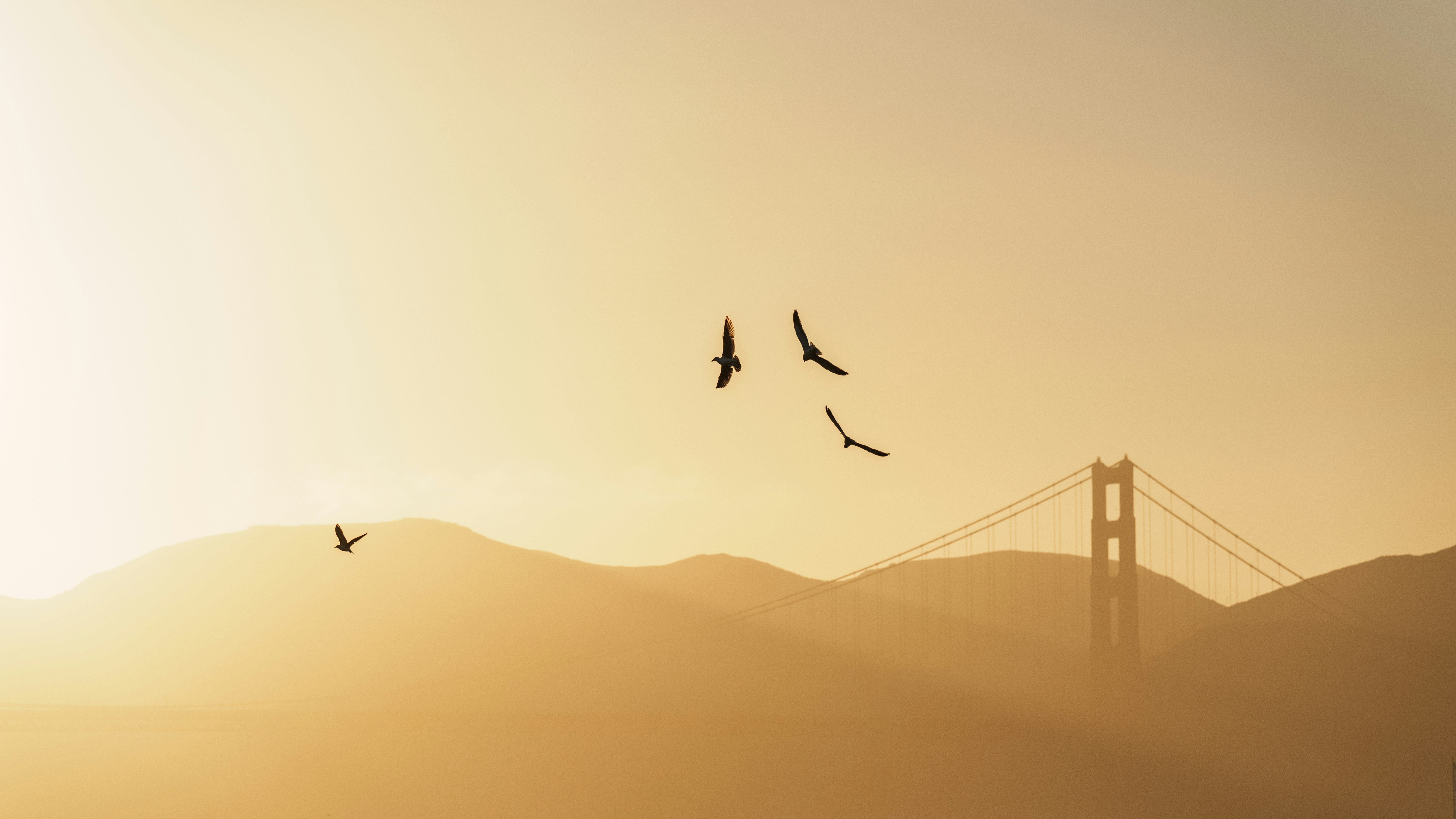 Birds fly over golden gate bridge at sunset.