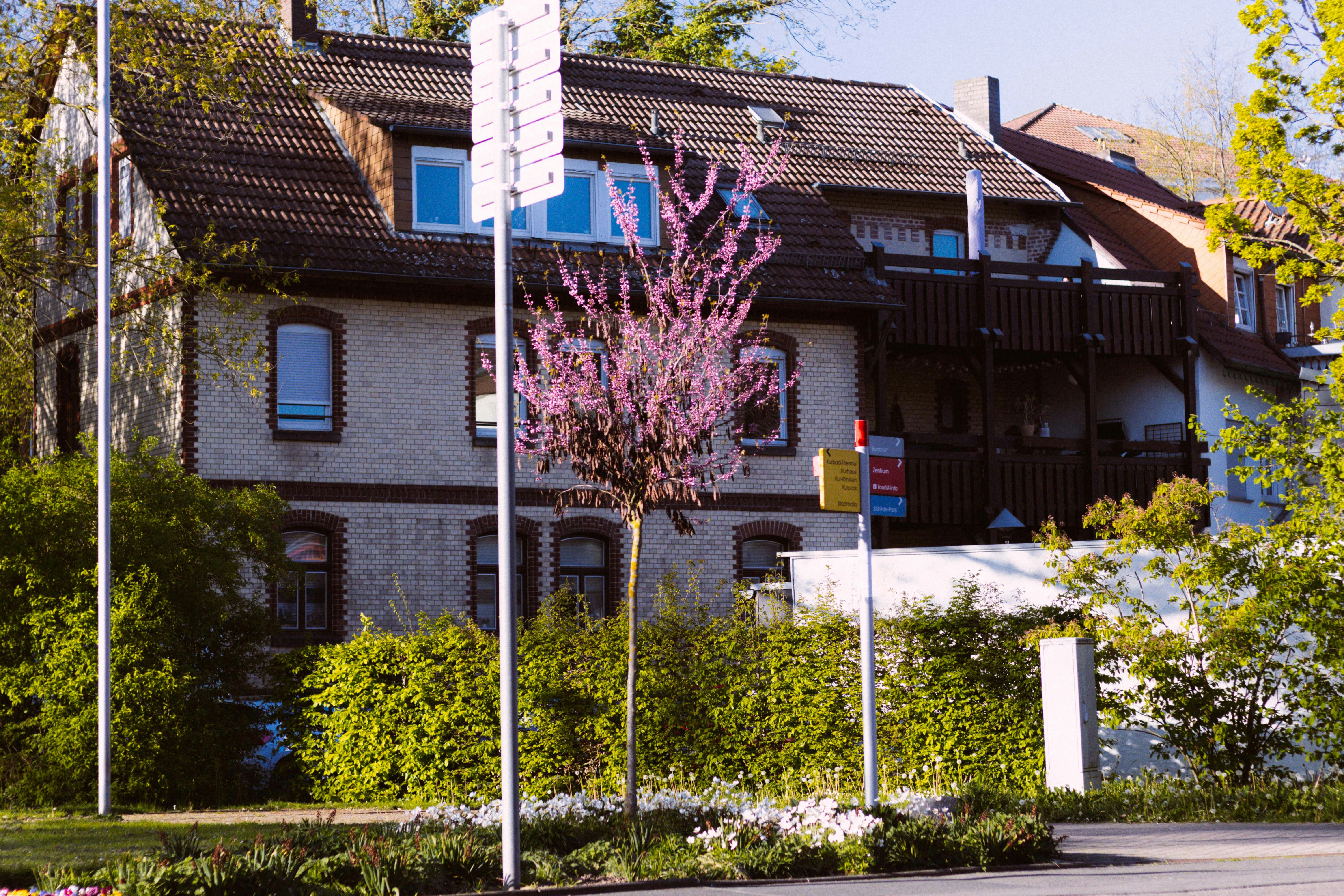 A building with a blooming tree in front.