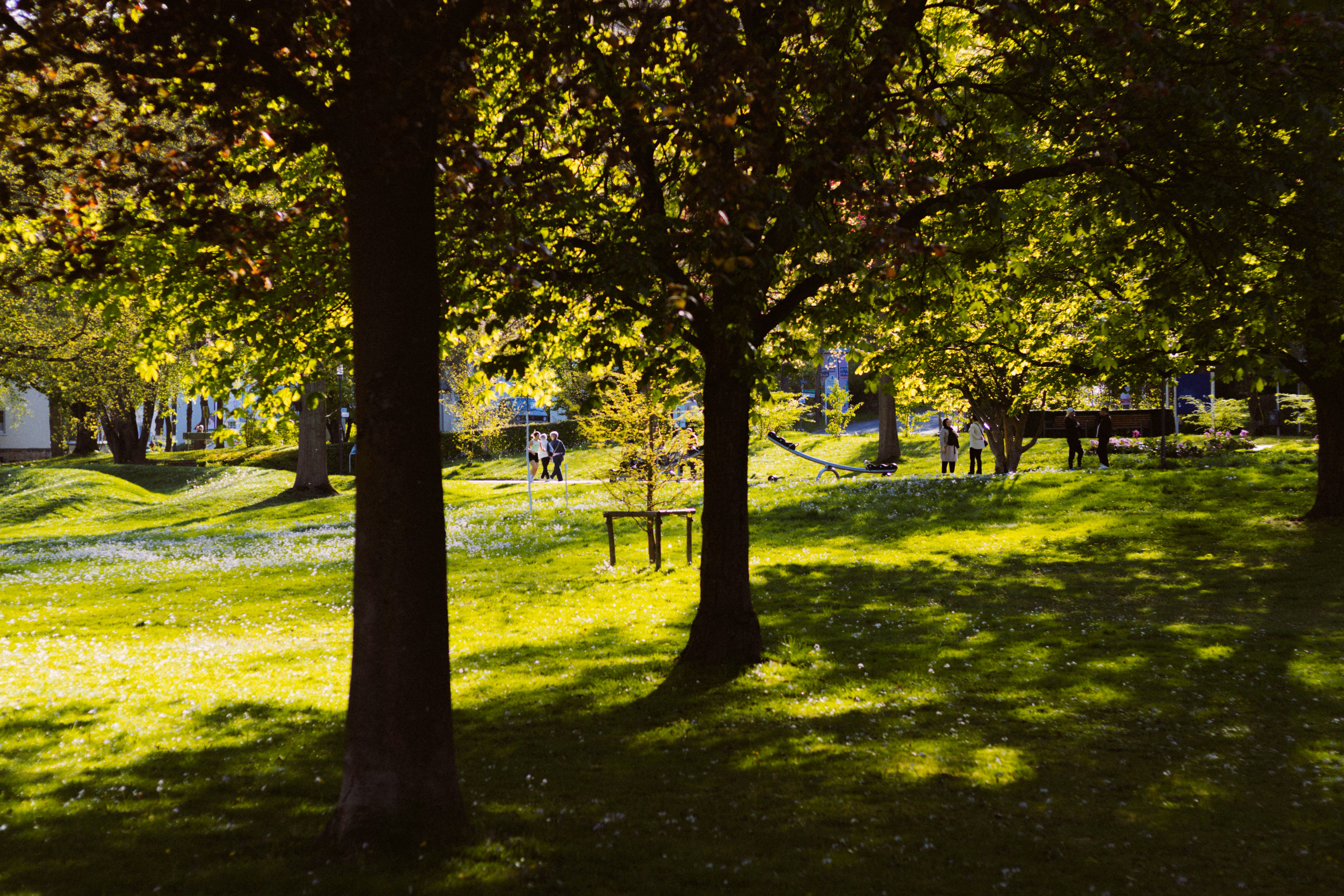 Photo by arlindphotography