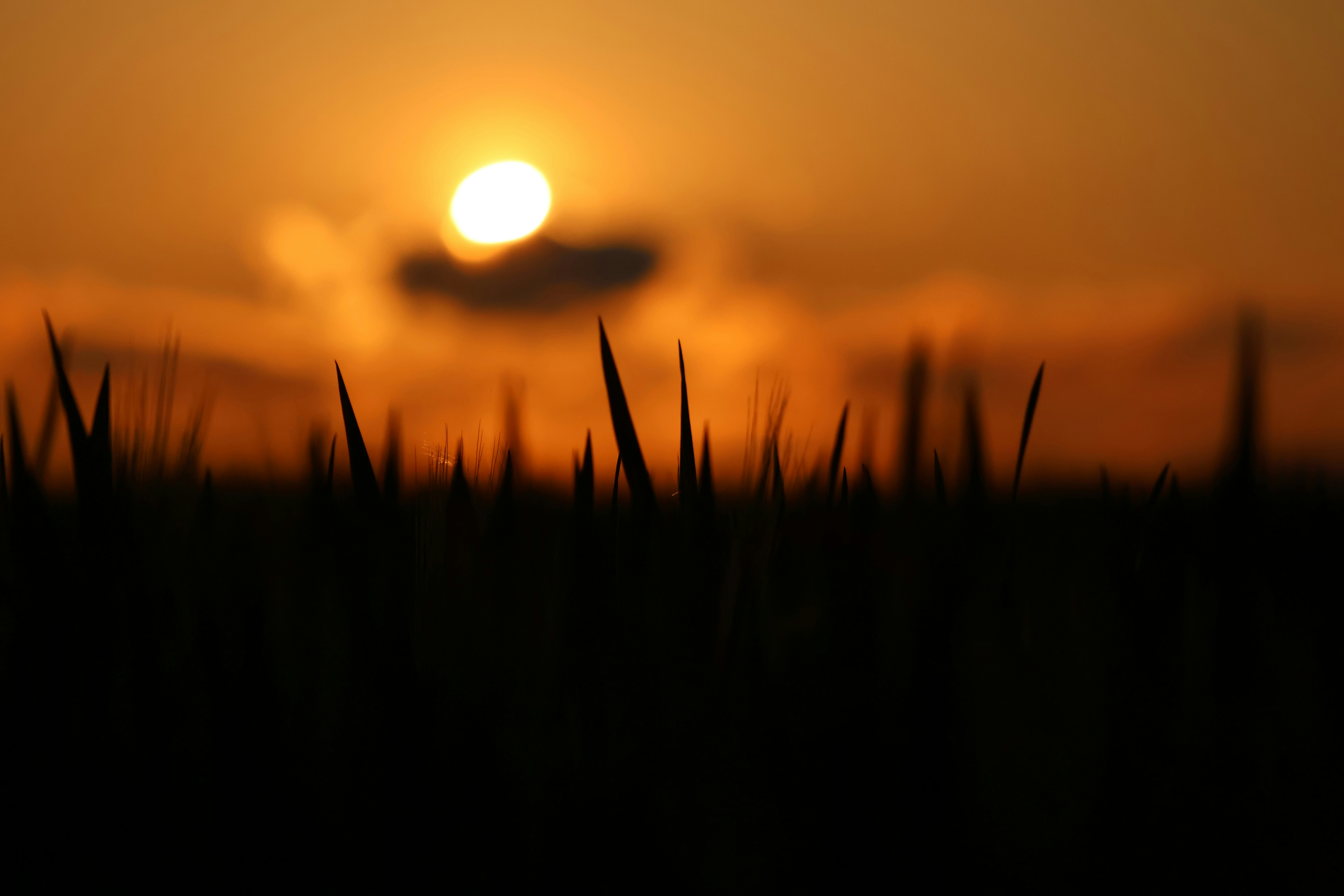 Photo by viktorfriesen