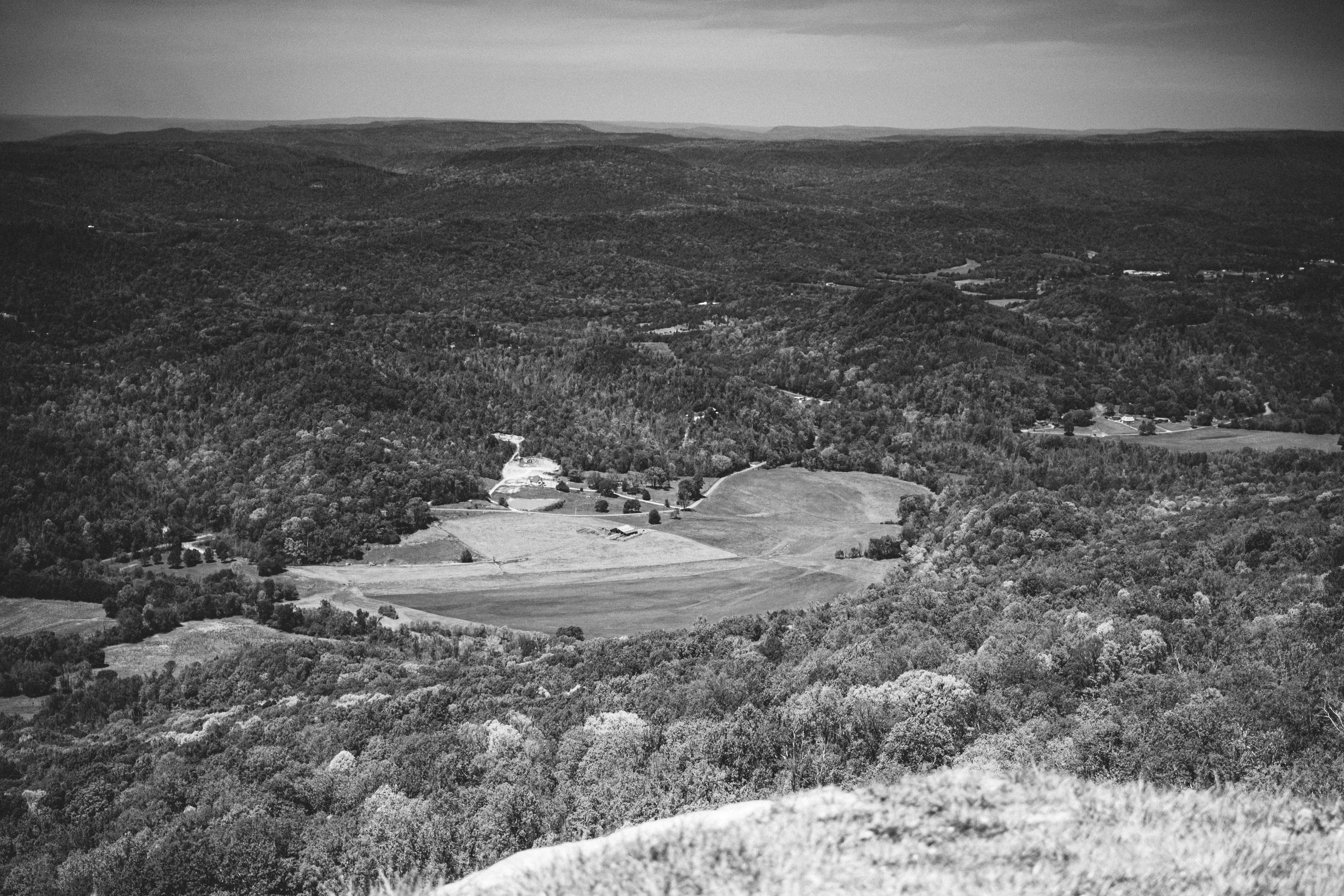 Des collines ondulantes couvertes d’arbres avec une vallée lointaine.