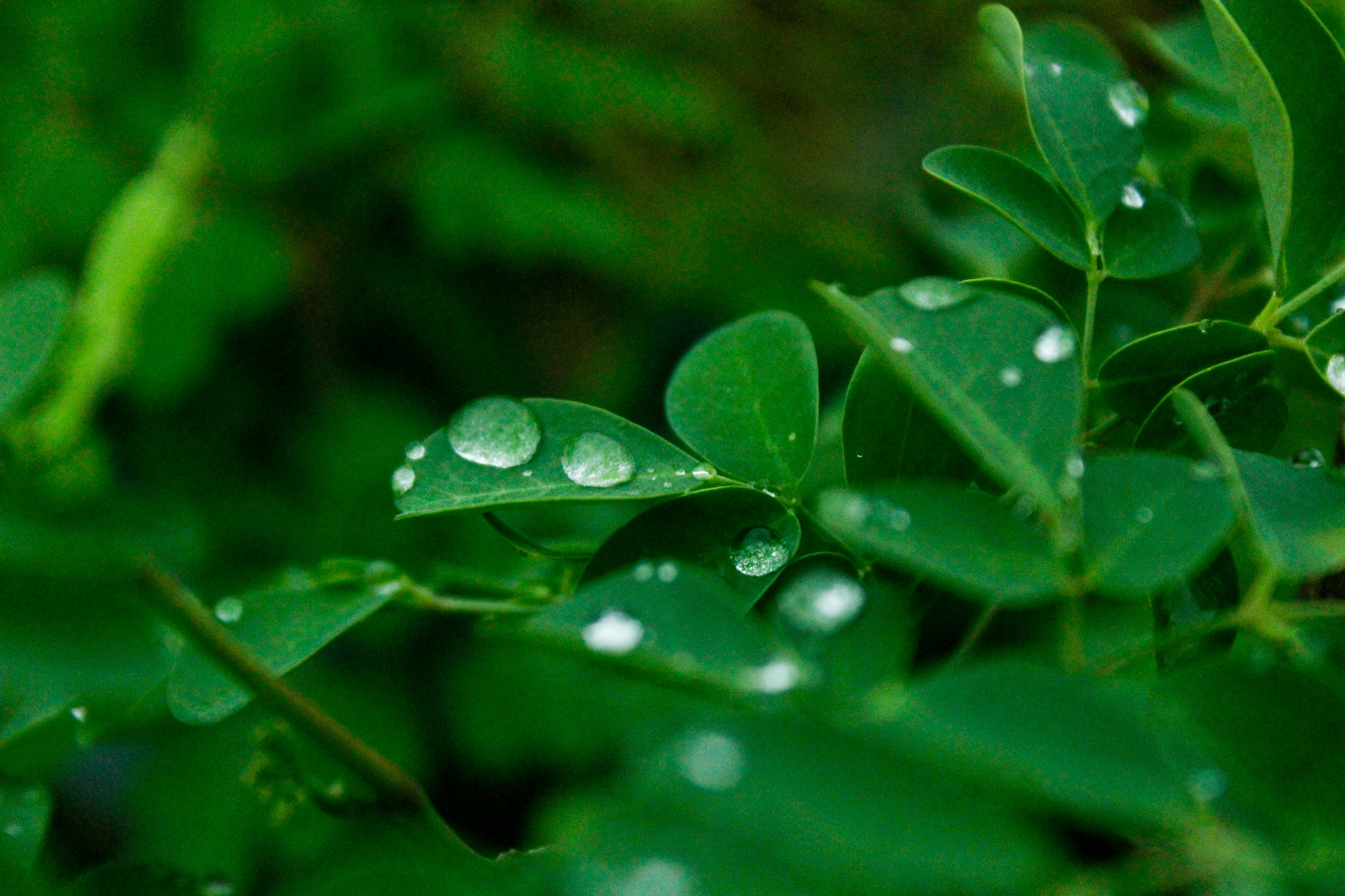Photo by nsnclicks