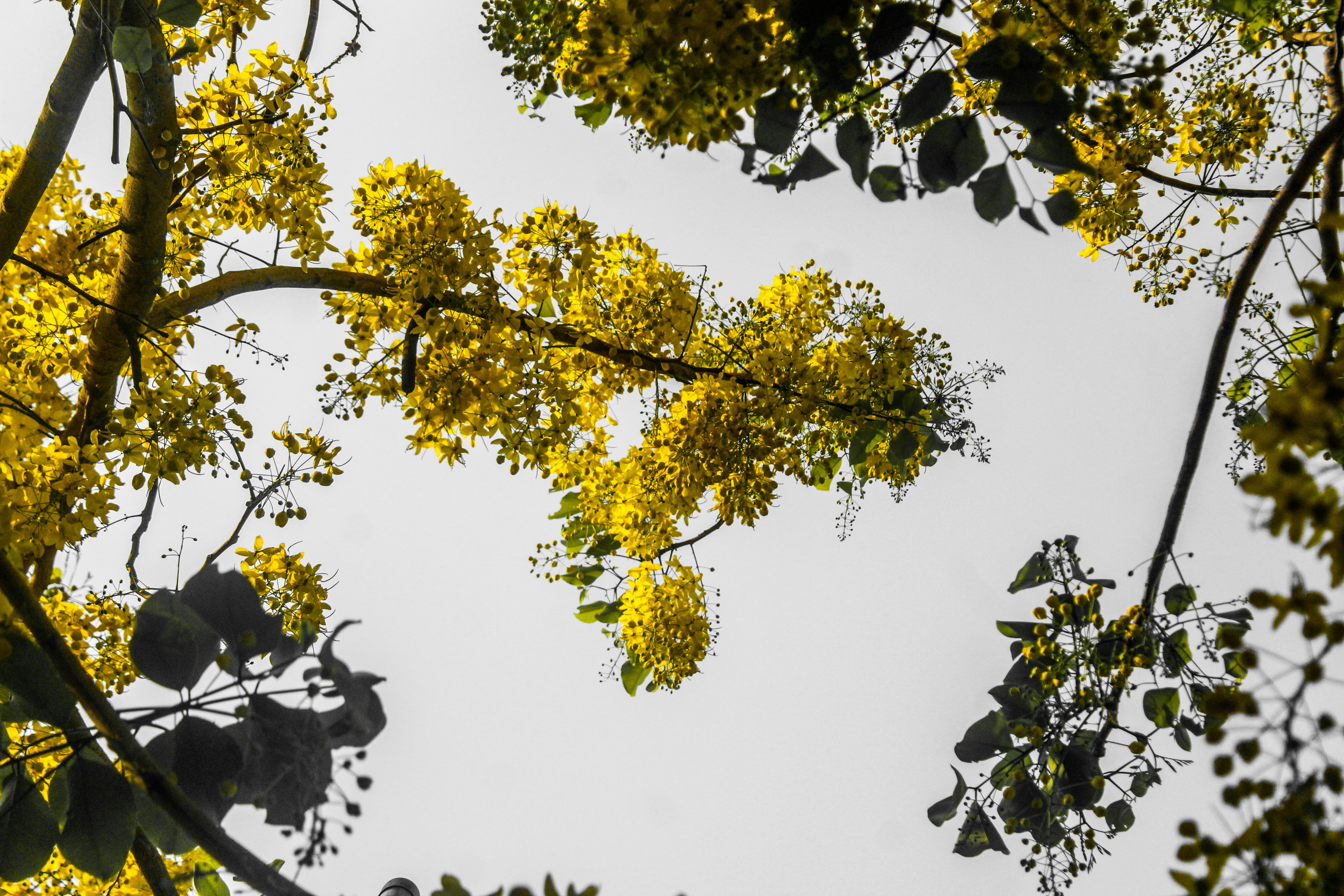 Photo by nsnclicks