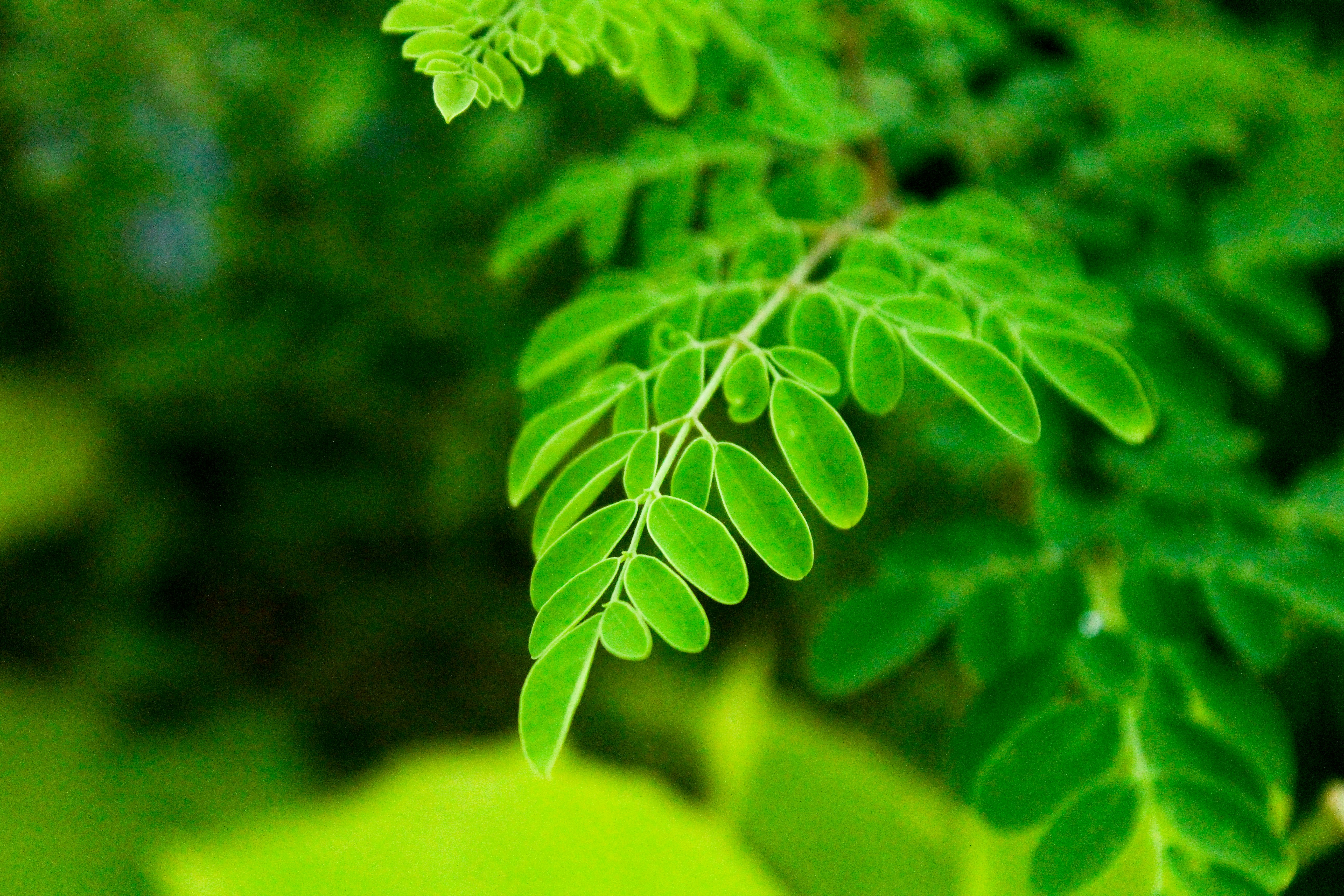 Photo by nsnclicks